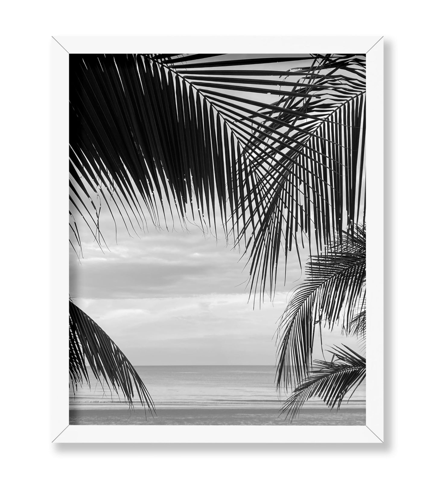 View Between Palm Leaves
