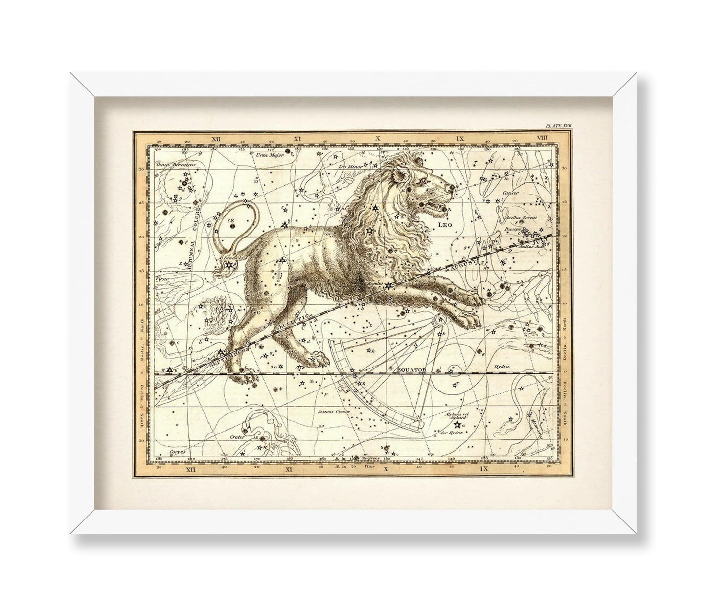 The Lion Zodiac Sign