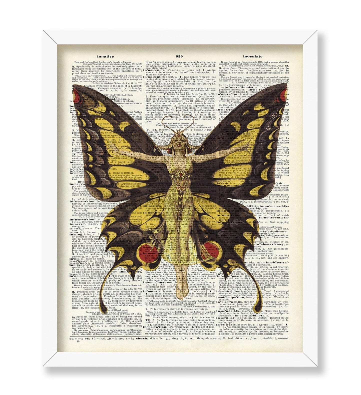Queen of Butterflies