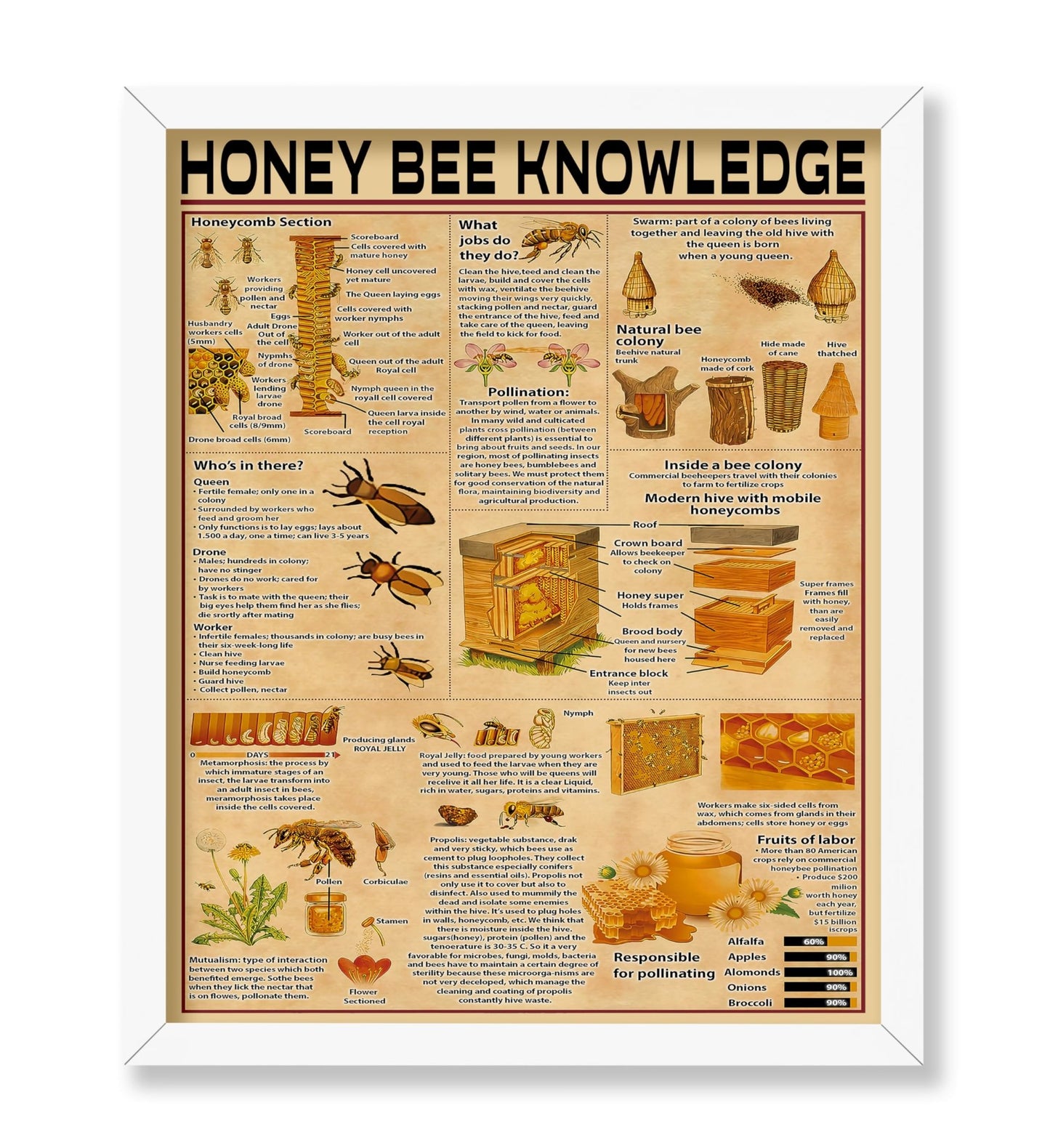 Honey Bee Knowledge
