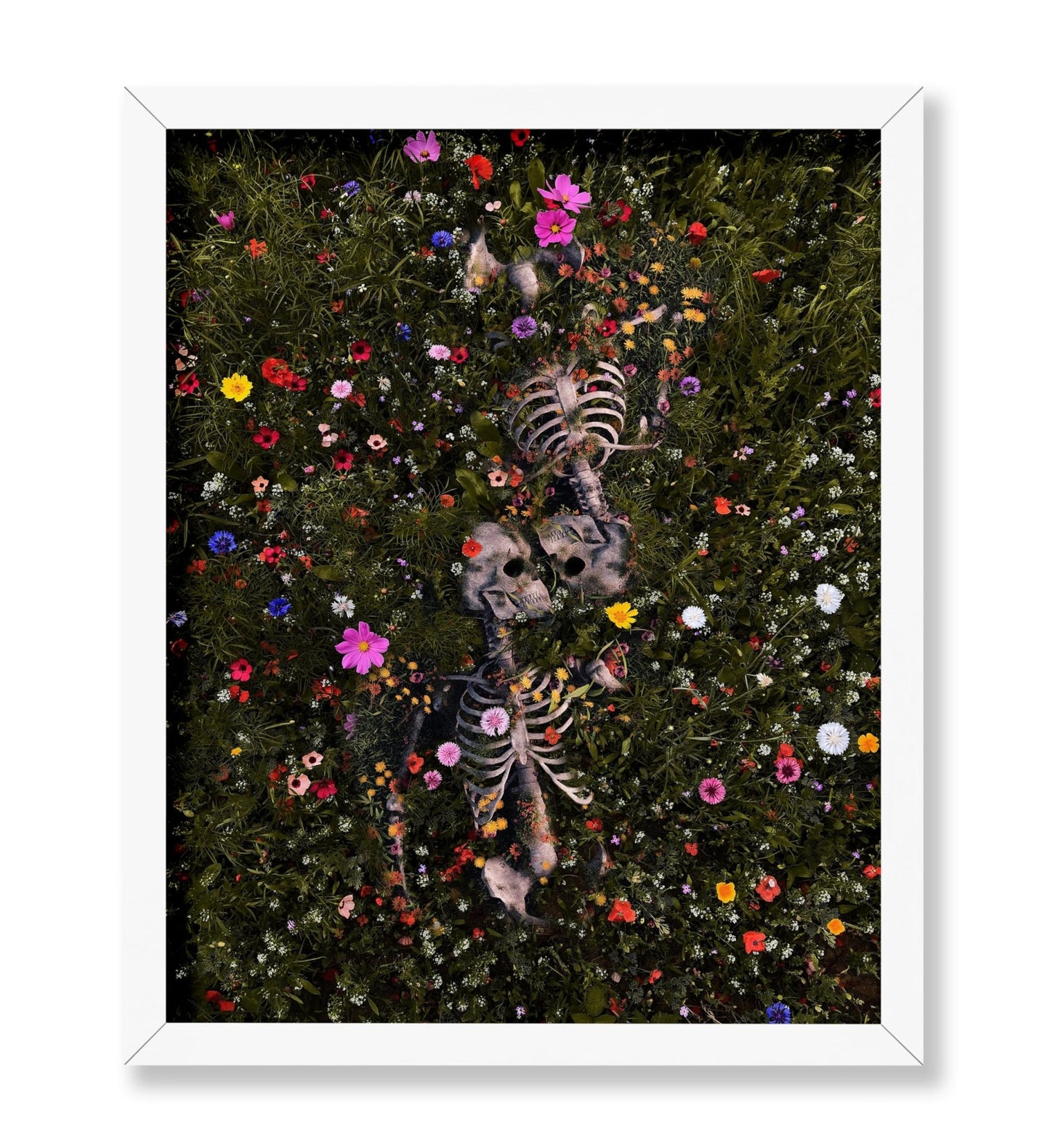 Skeleton Lovers