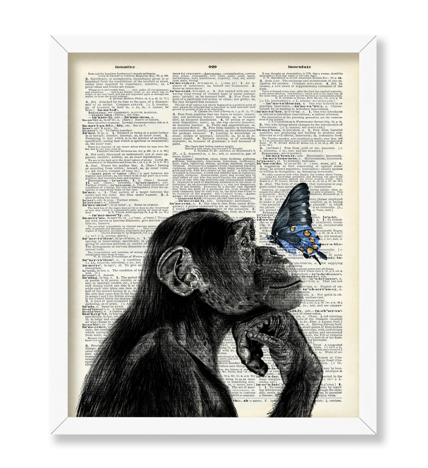 Monkey and Butterfly