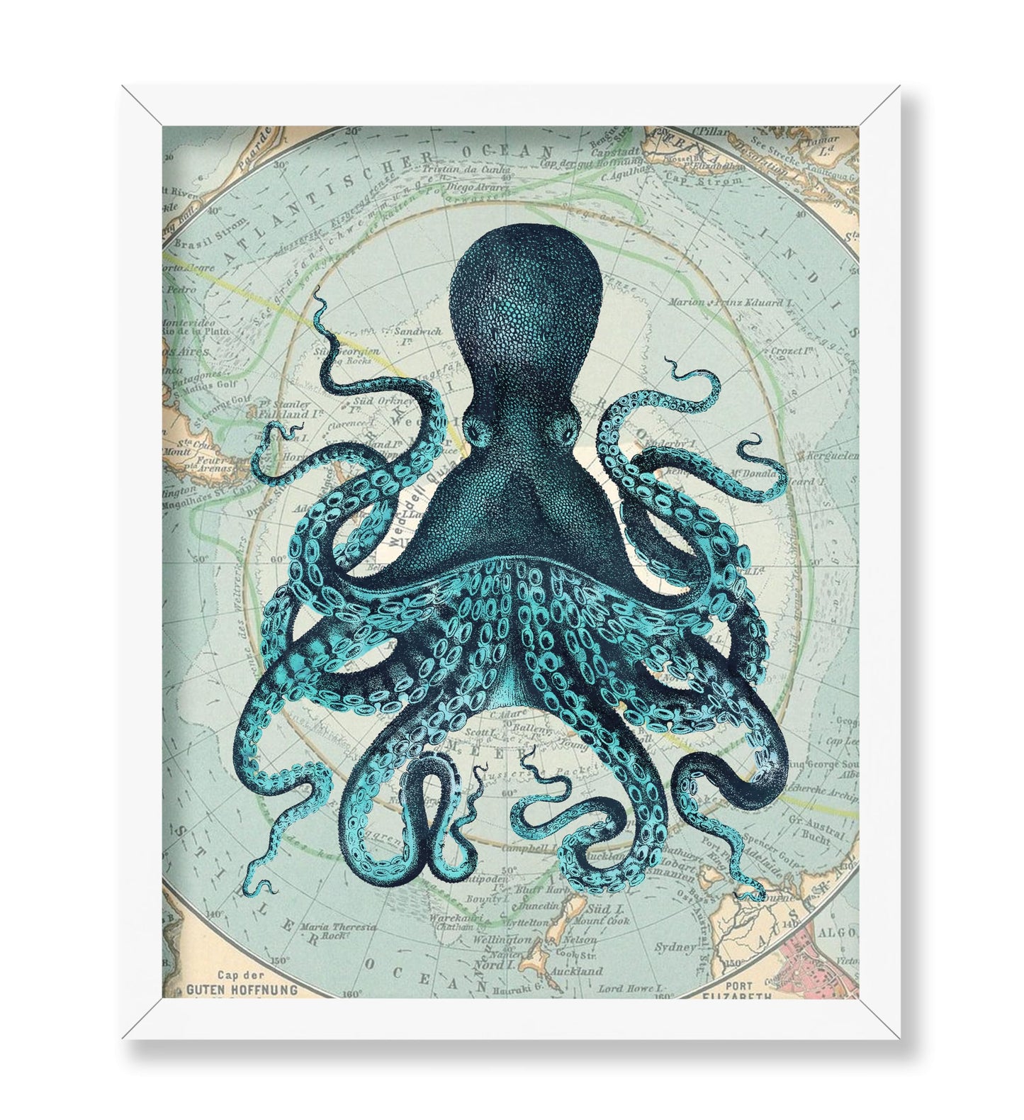 Kraken Octopus