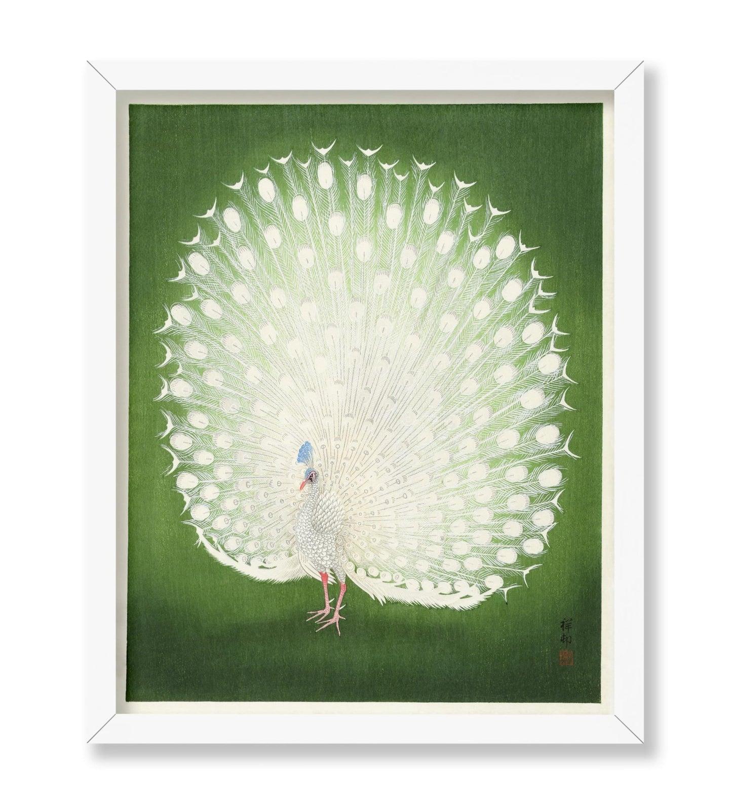Ohara Koson - Peacock No4