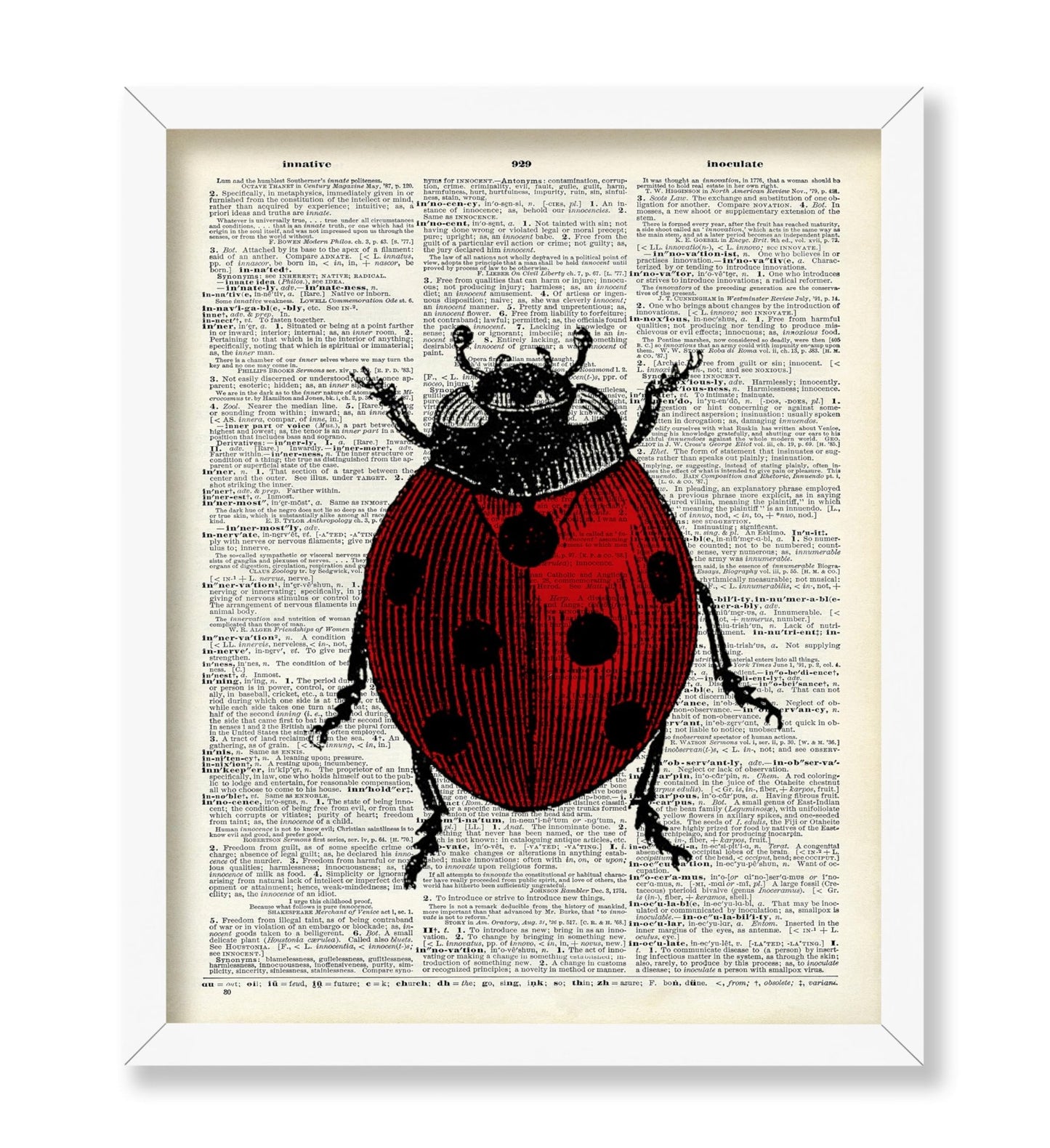 Ladybug