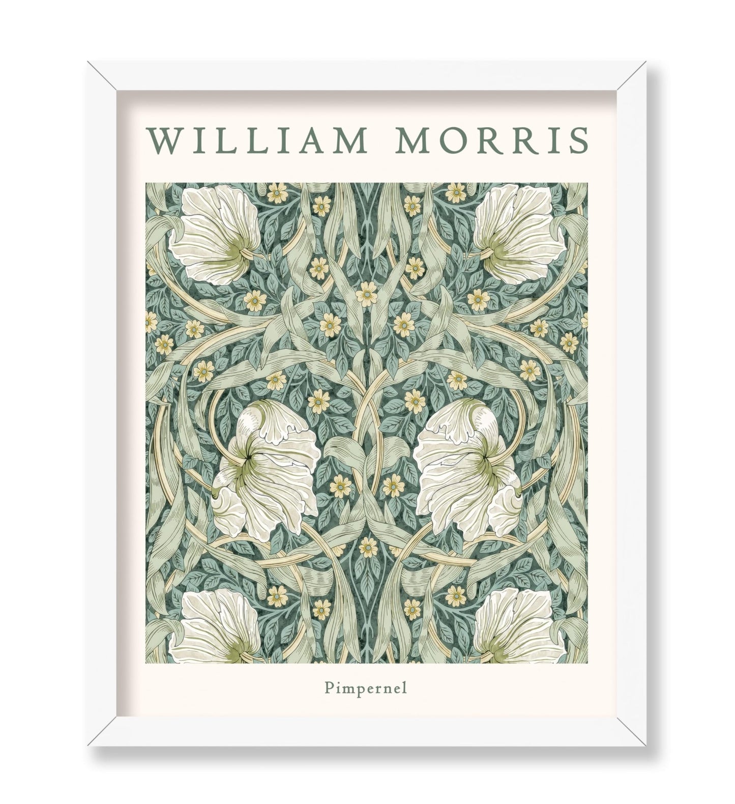 William Morris - Pimpernel No1