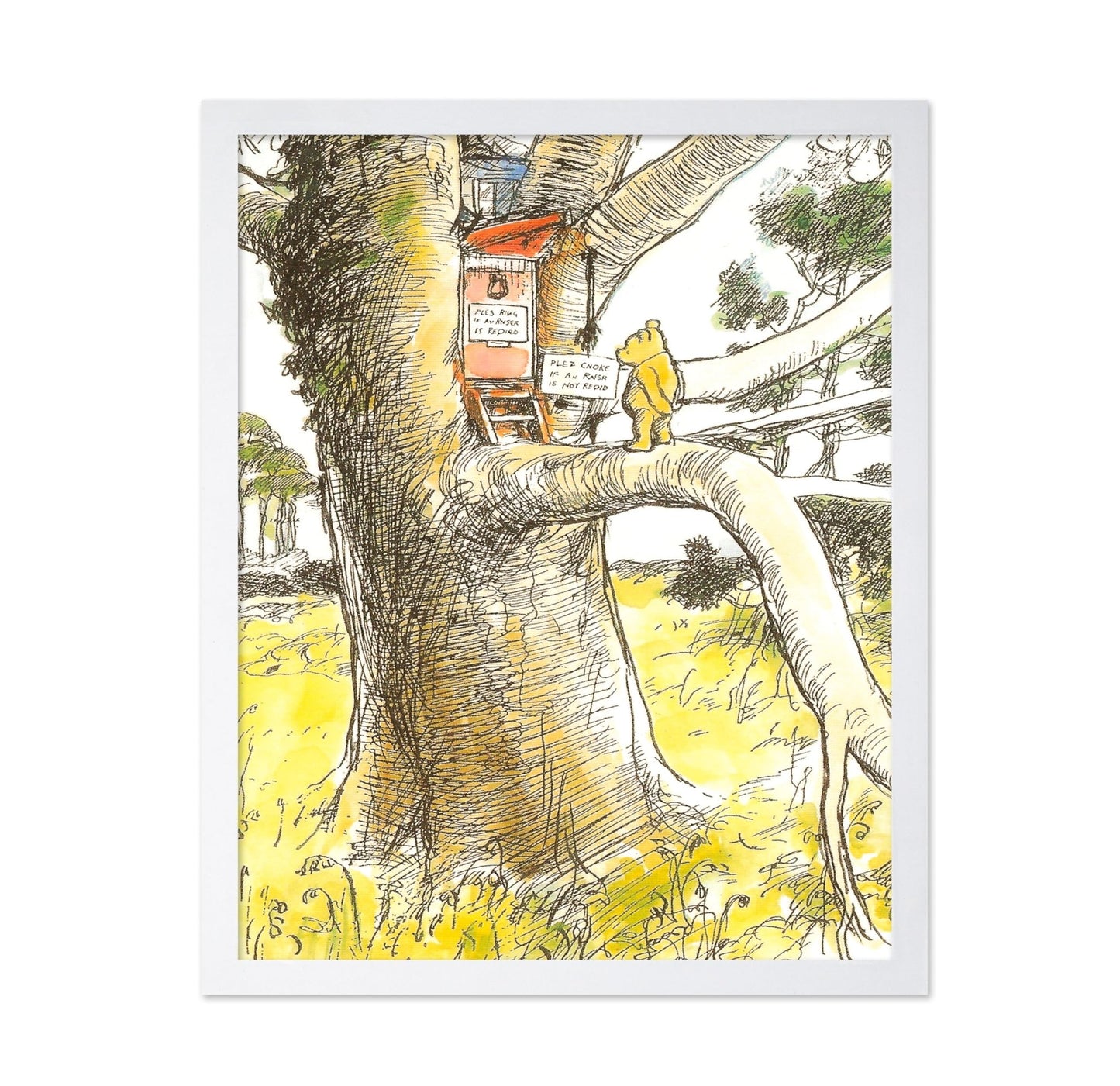 Visiting Owl's House