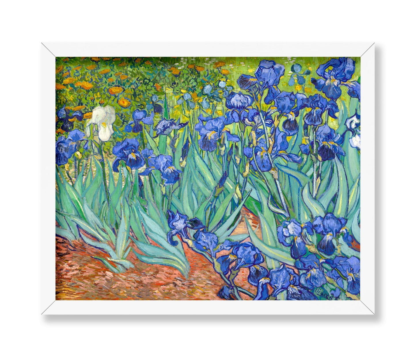 Van Gogh - Irises No1