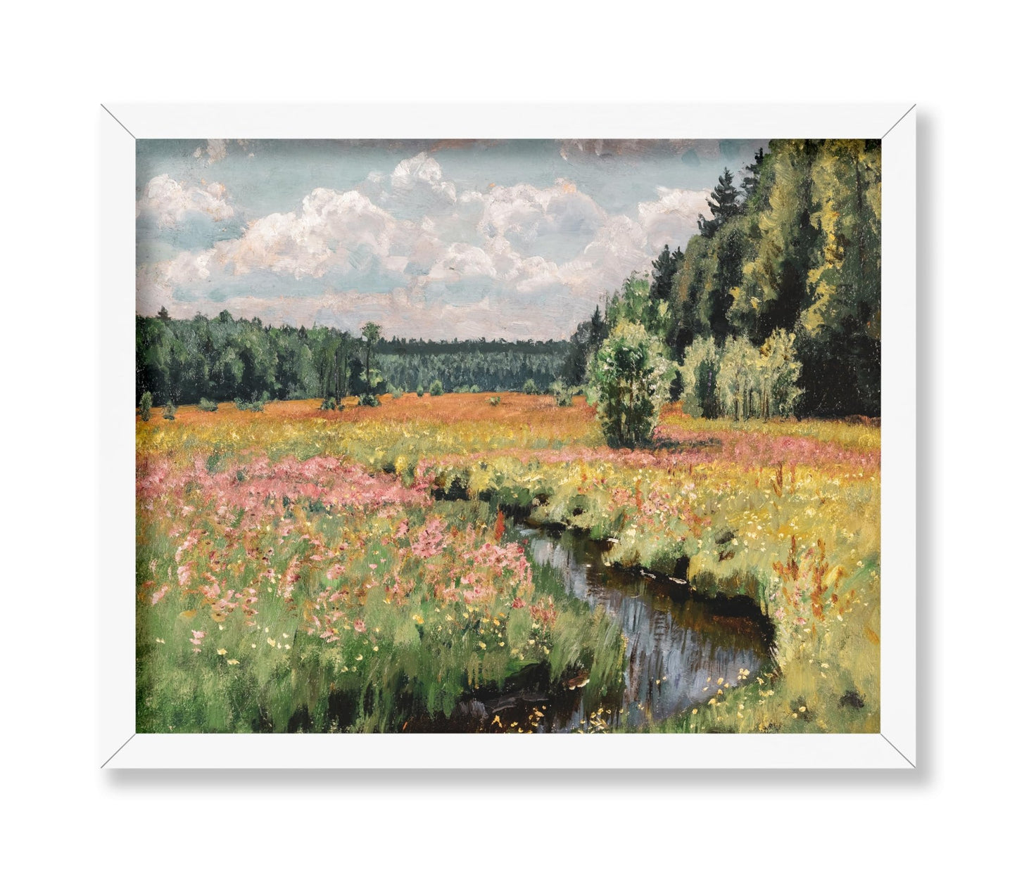 Summer Meadow