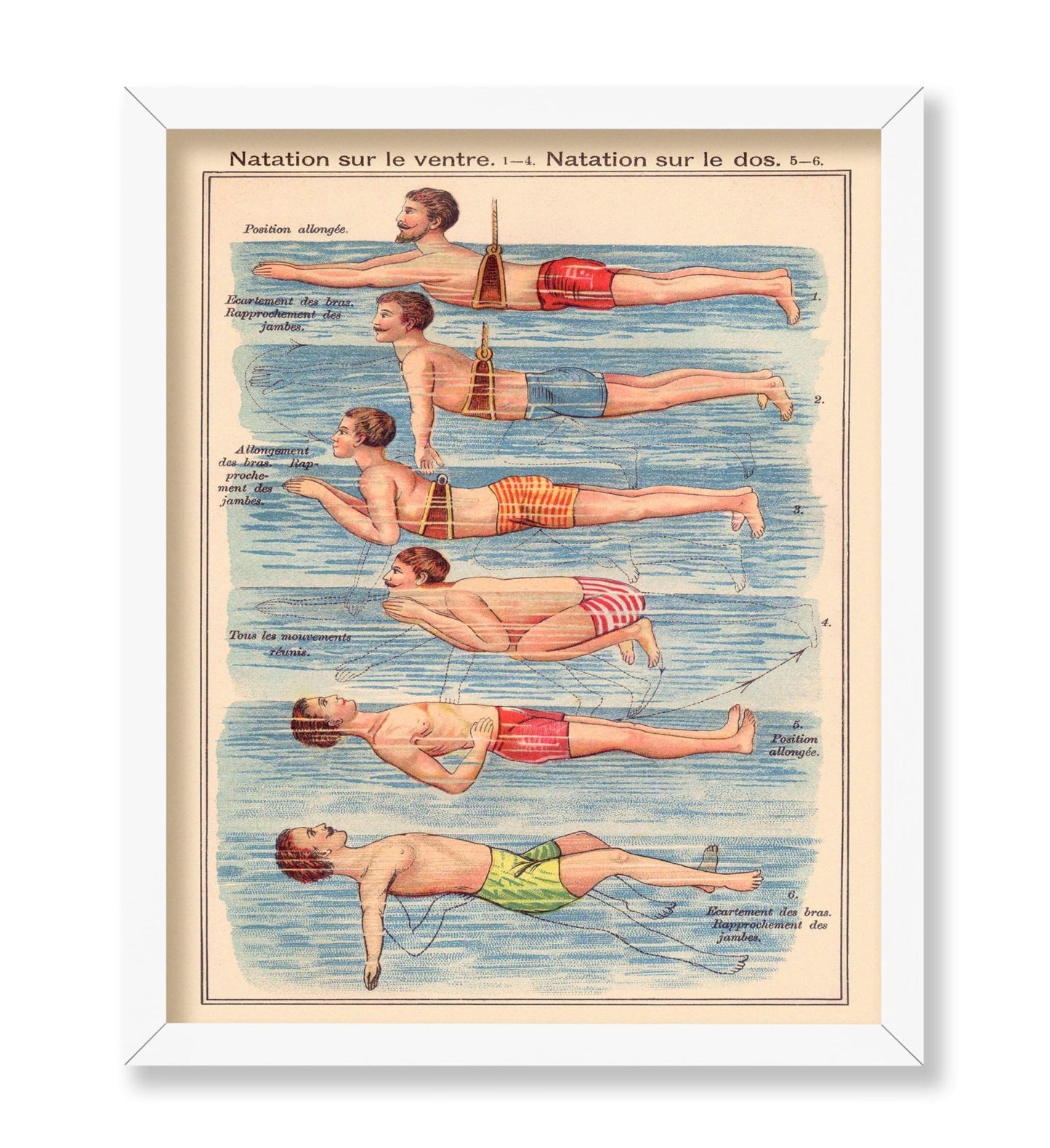 Friedrich Eduard Bilz - Natation