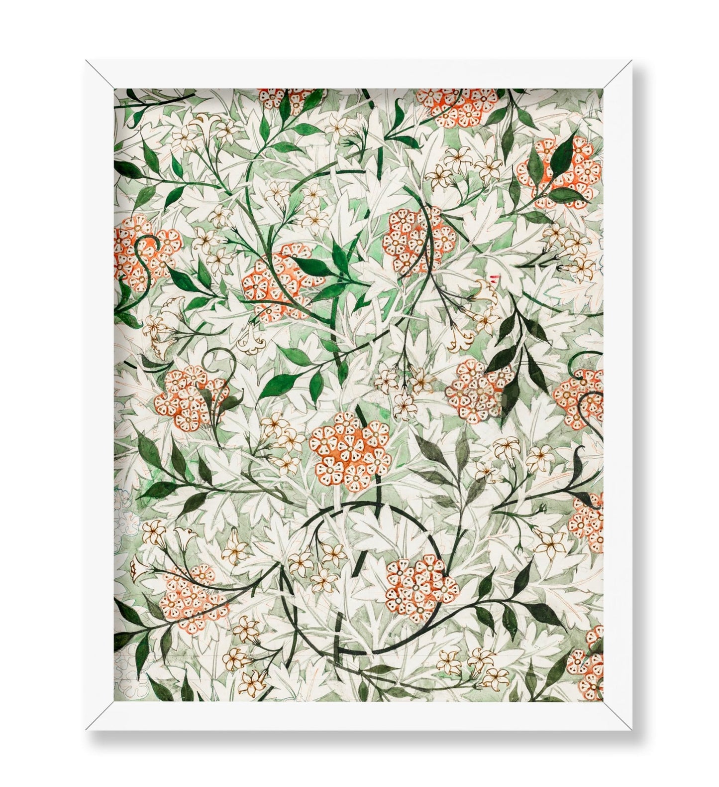 William Morris - Jasmine No2