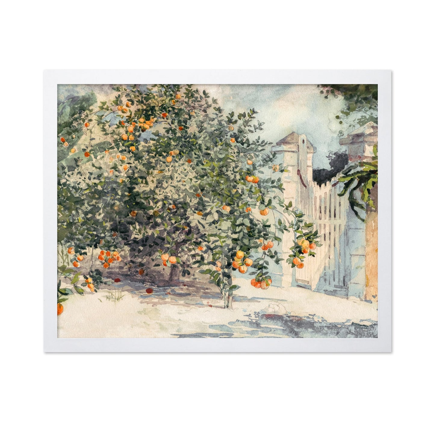 Orange Trees and Gate