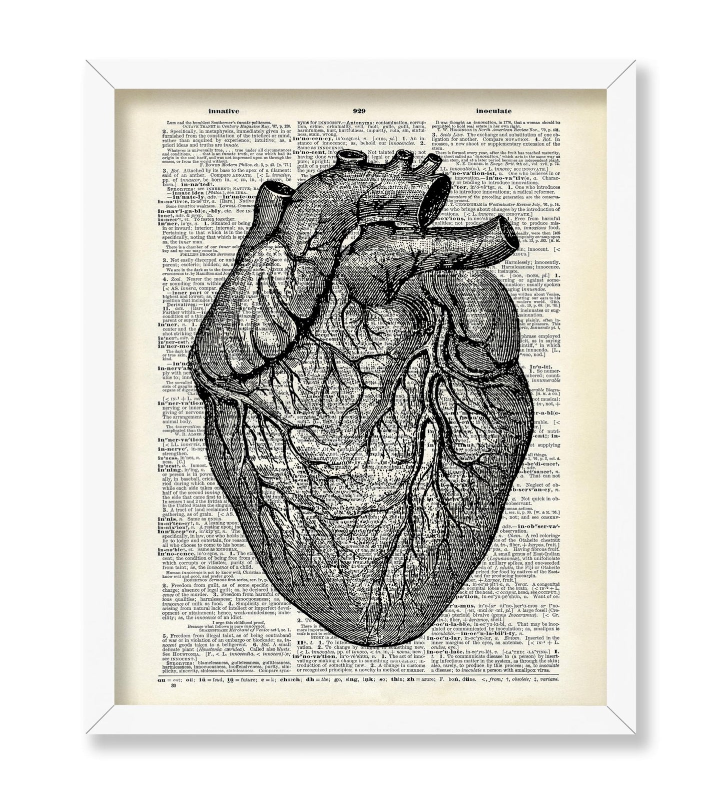 Anatomical Heart