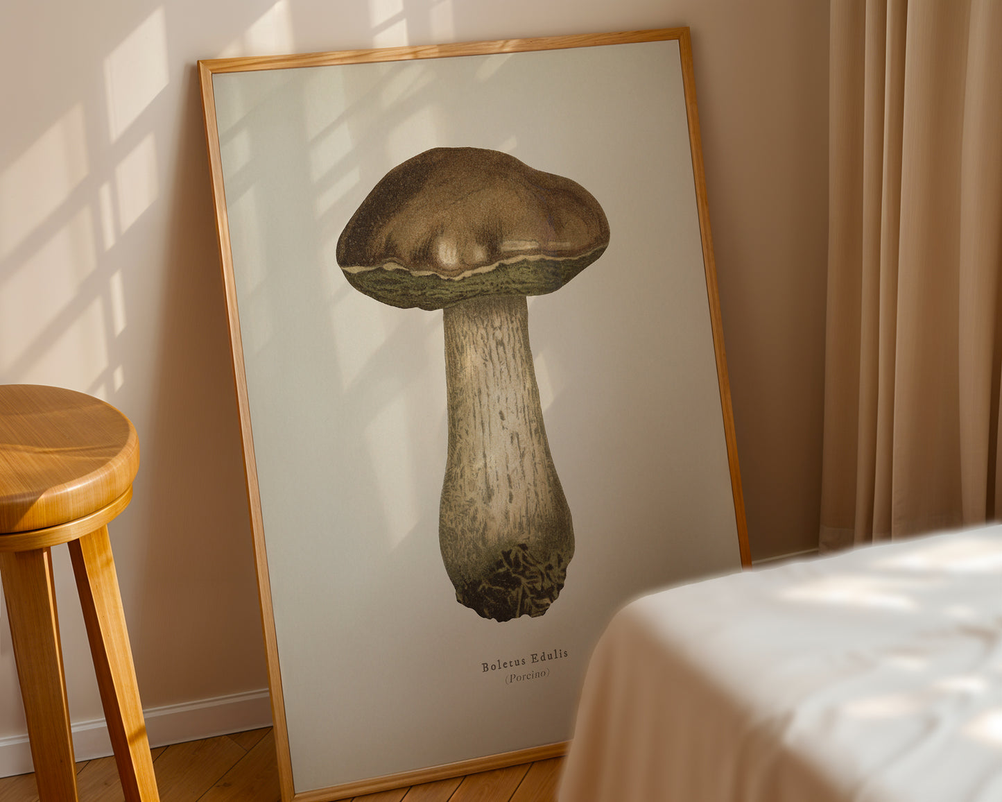 Porcino Mushroom No1