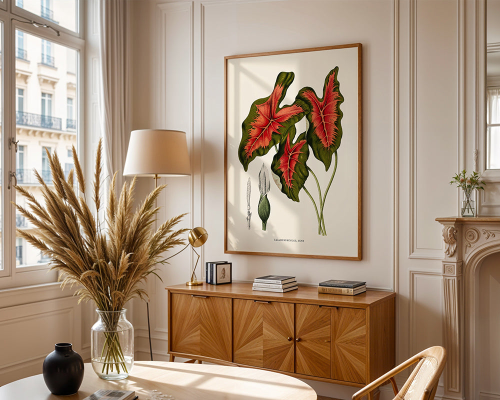 Heart of Jesus Plant