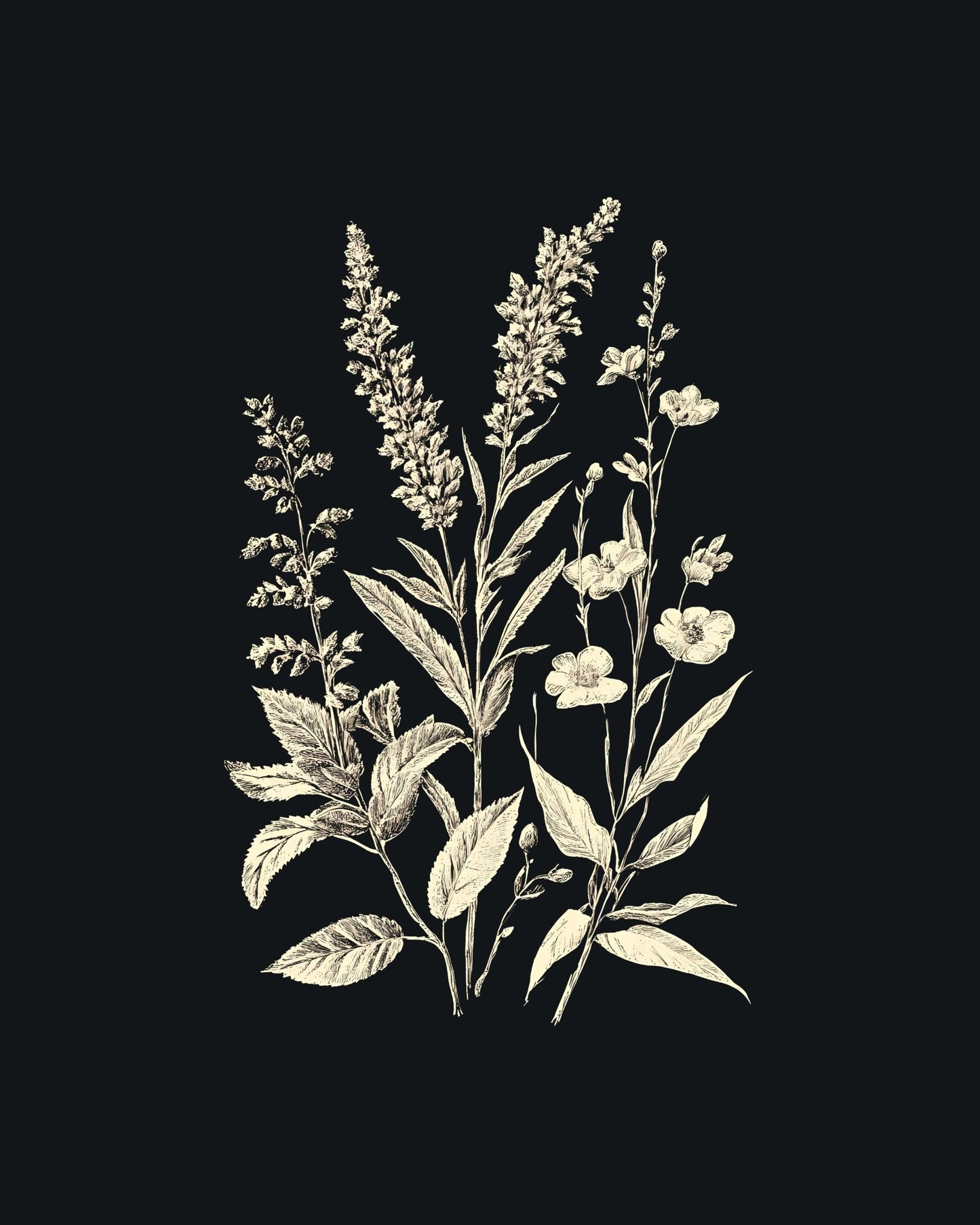 Wildflowers NO2