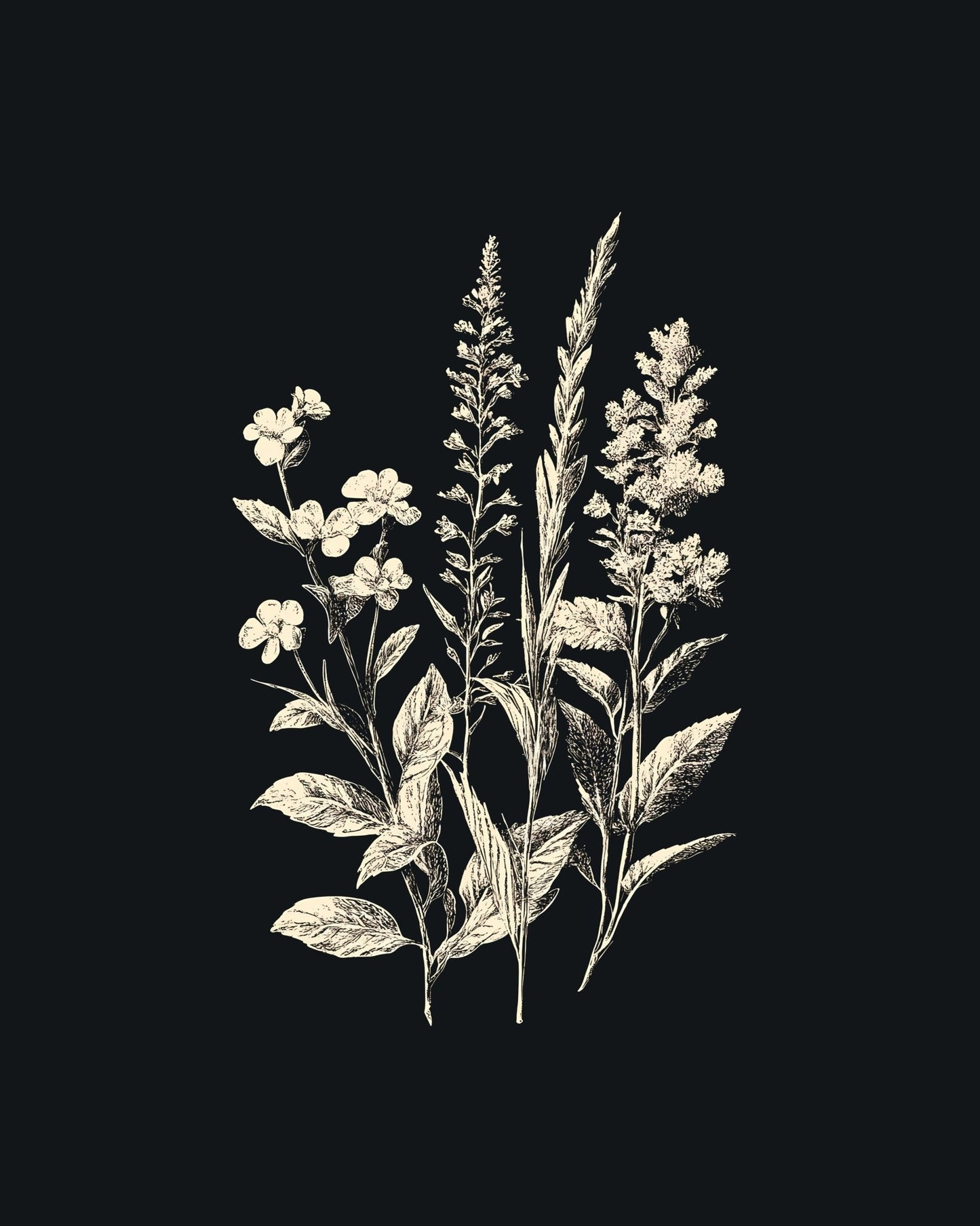 Wildflowers NO3