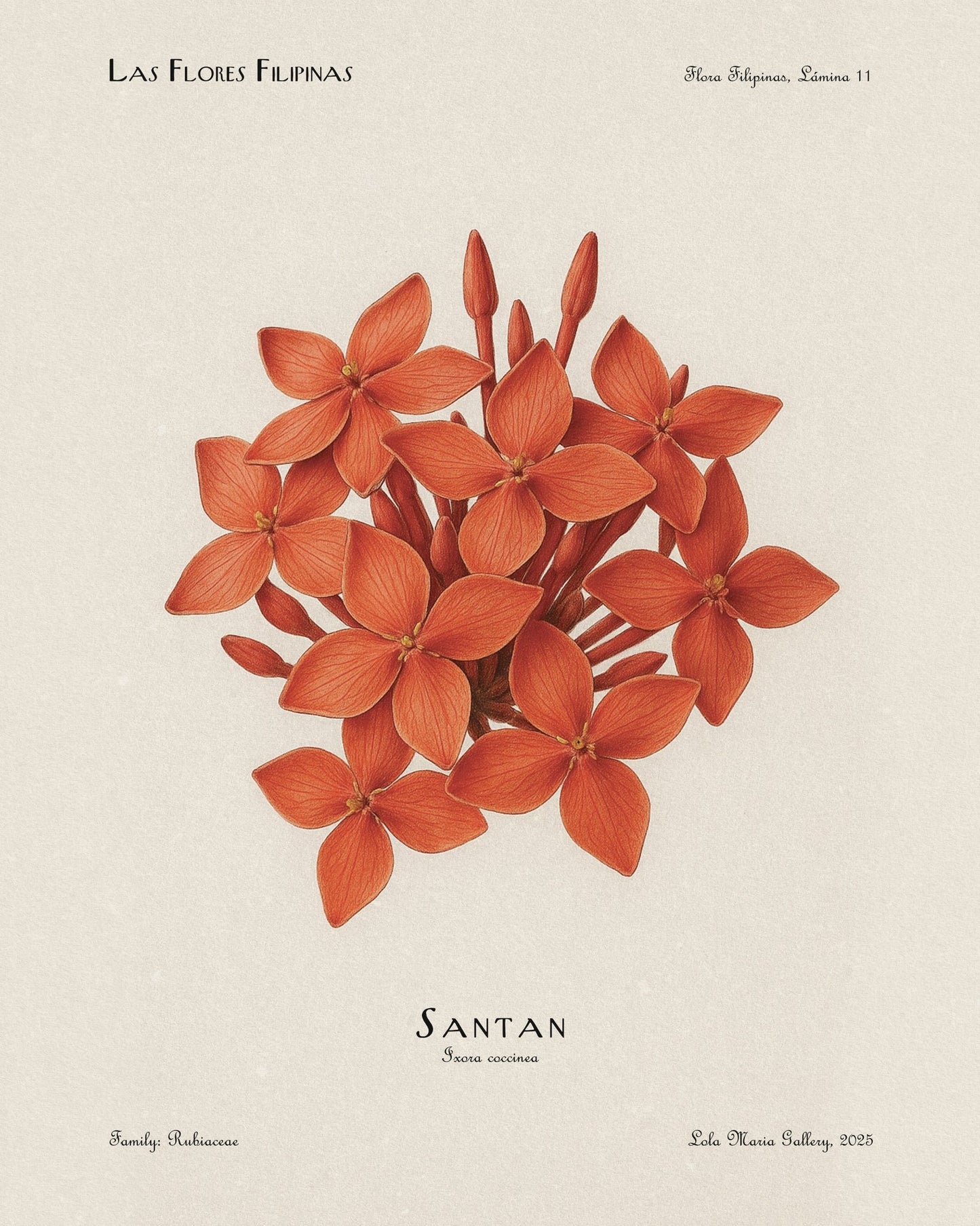 Santan Flower