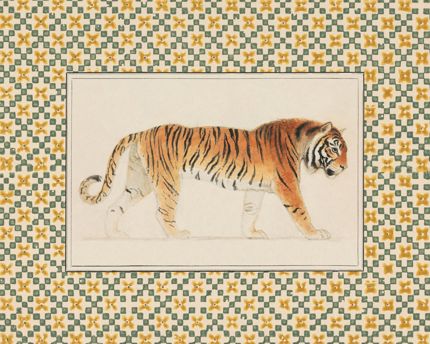 Pacing Tiger