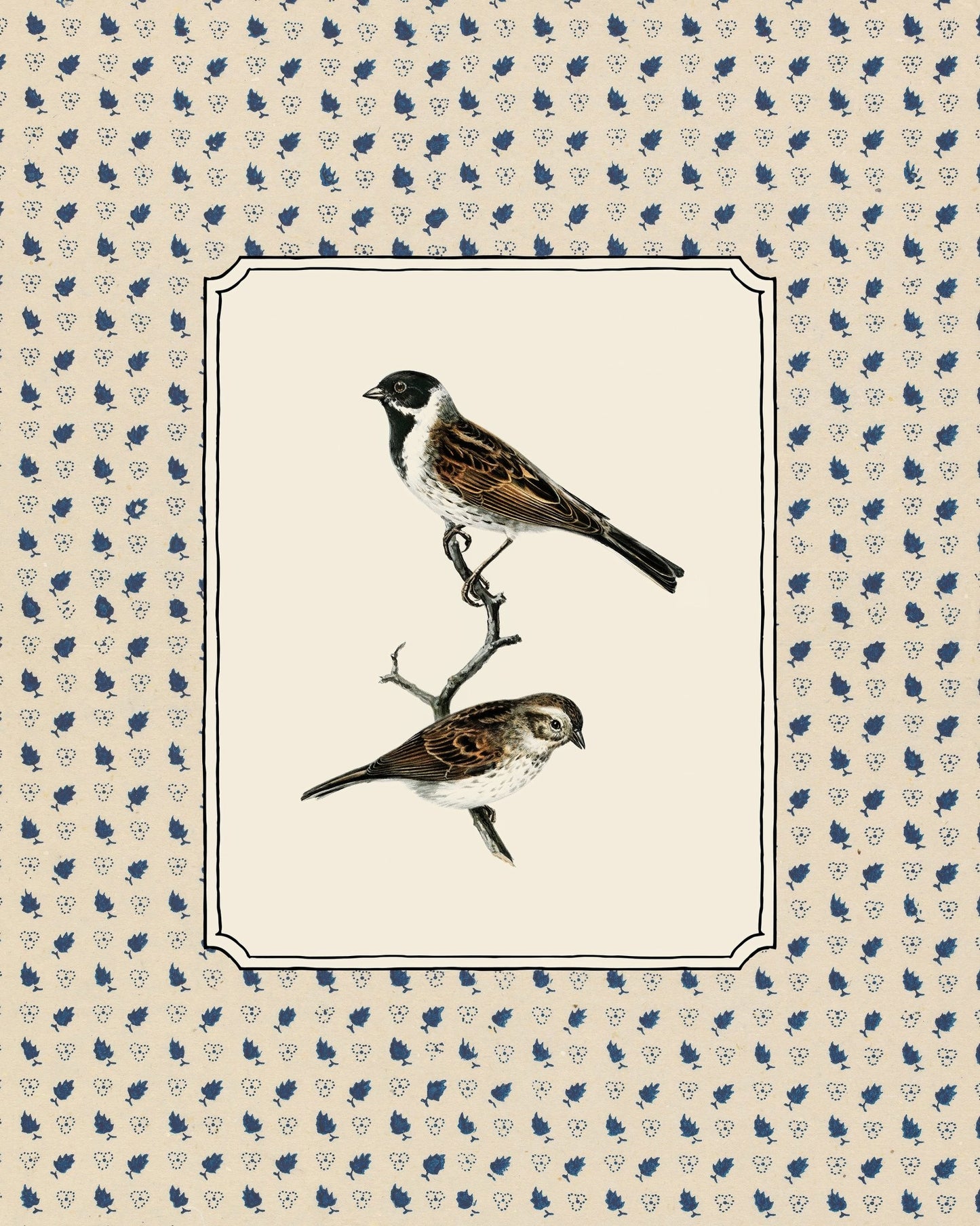 Swedish Birds