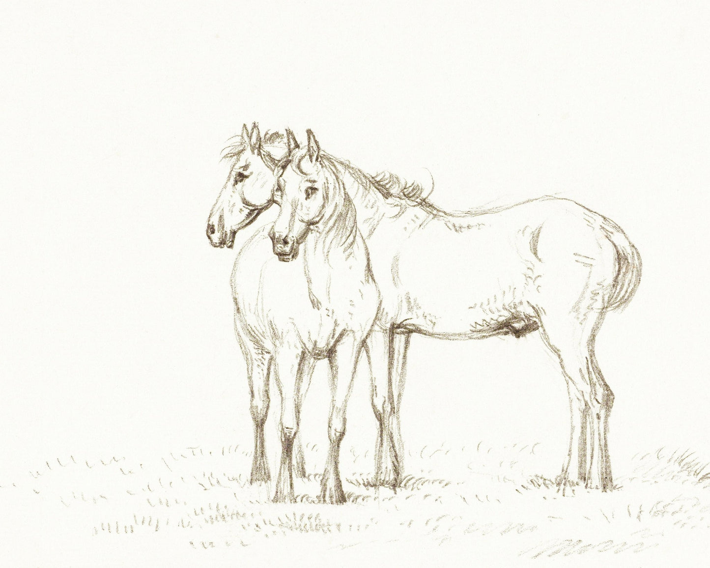 Two Horses