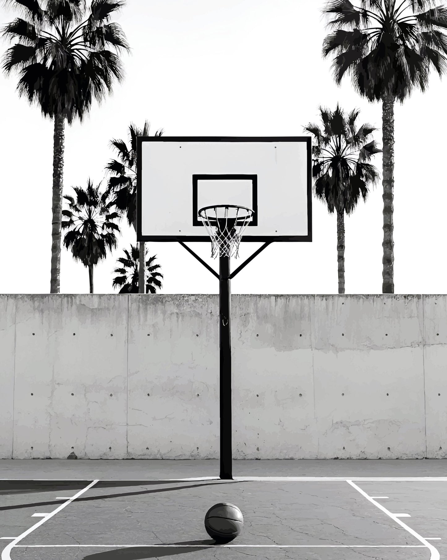 Outdoor Basketball Court