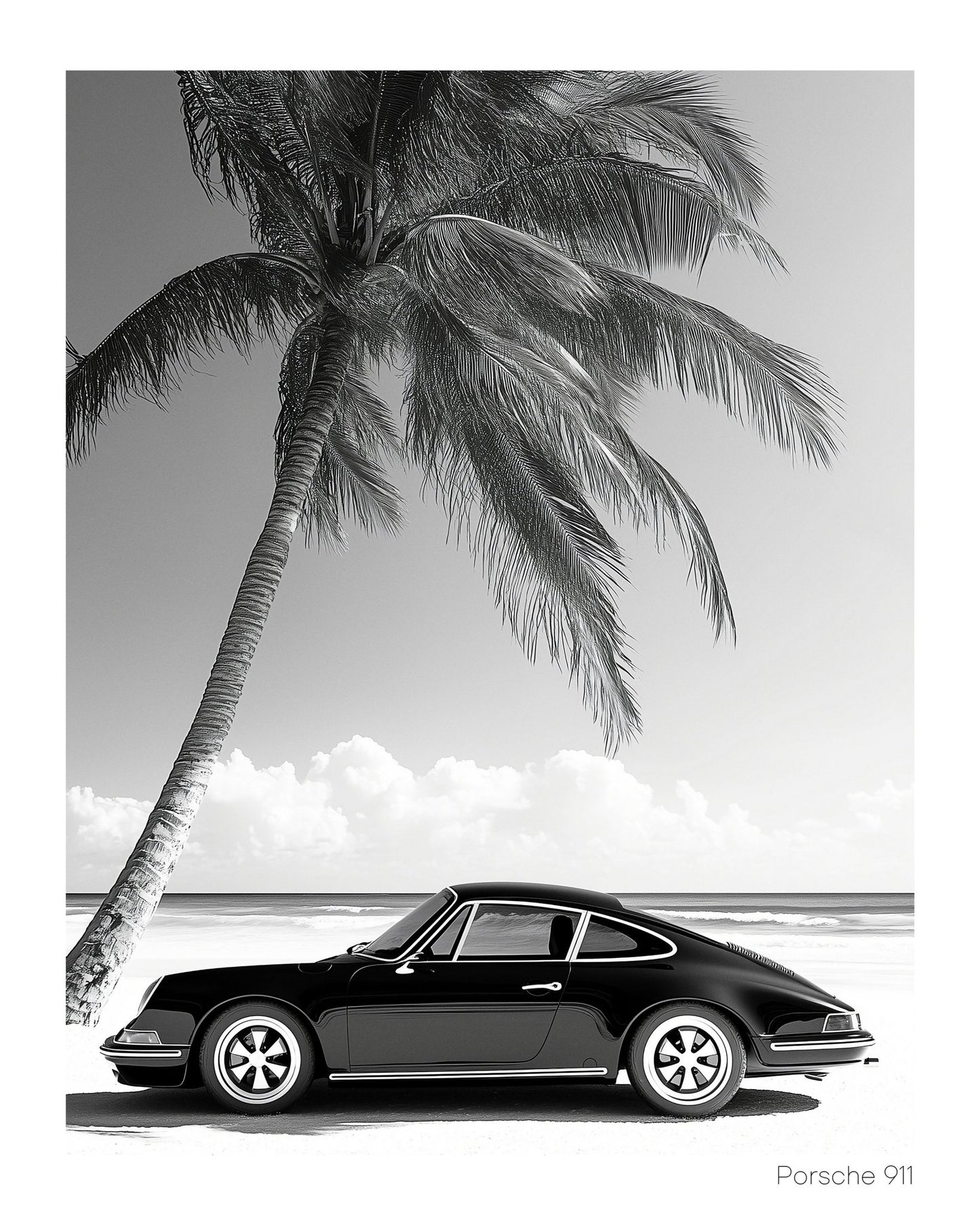 Car Under Palm Tree