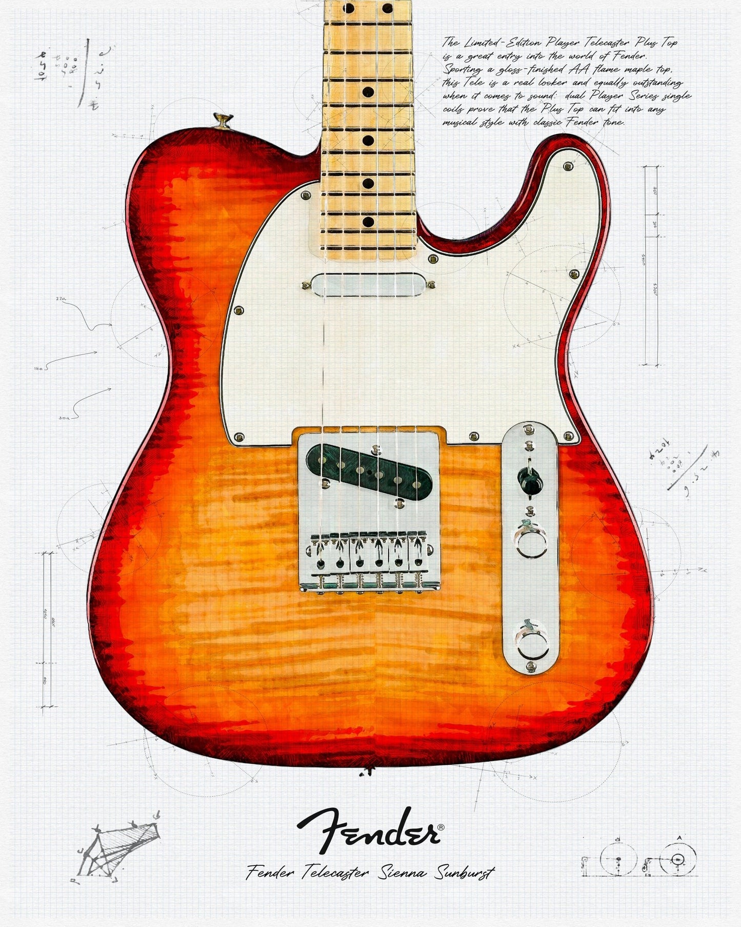 Fender Electric Guitar NO2