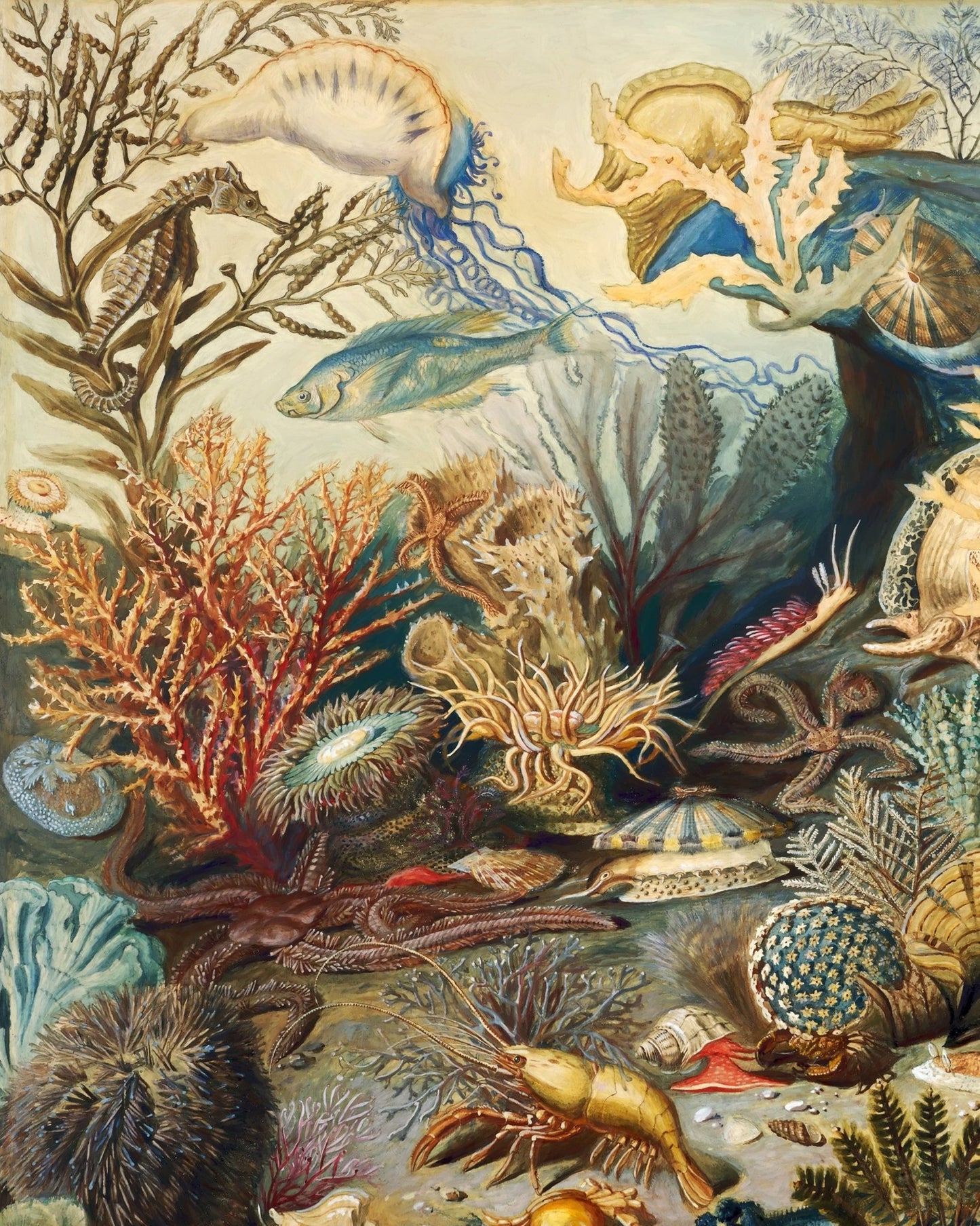Ocean Life