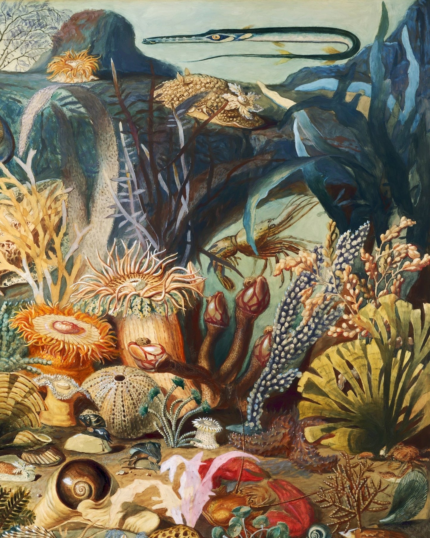 Ocean Life NO2