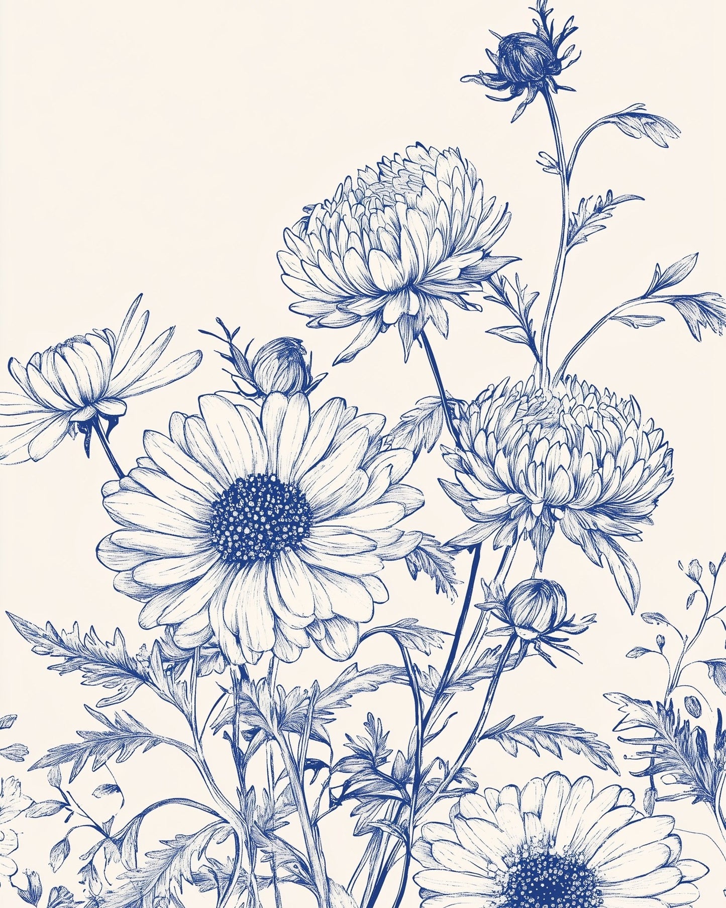 Chrysanthemum Flowers