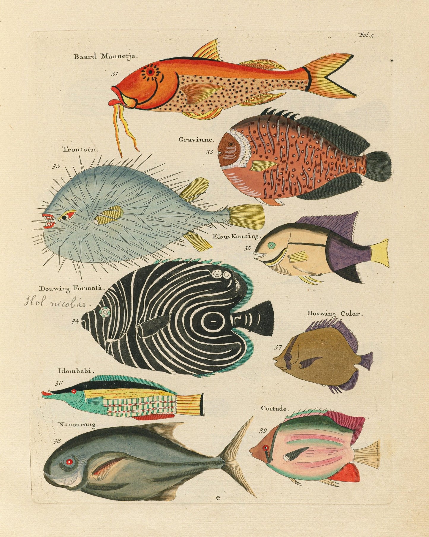 Fish Species NO2