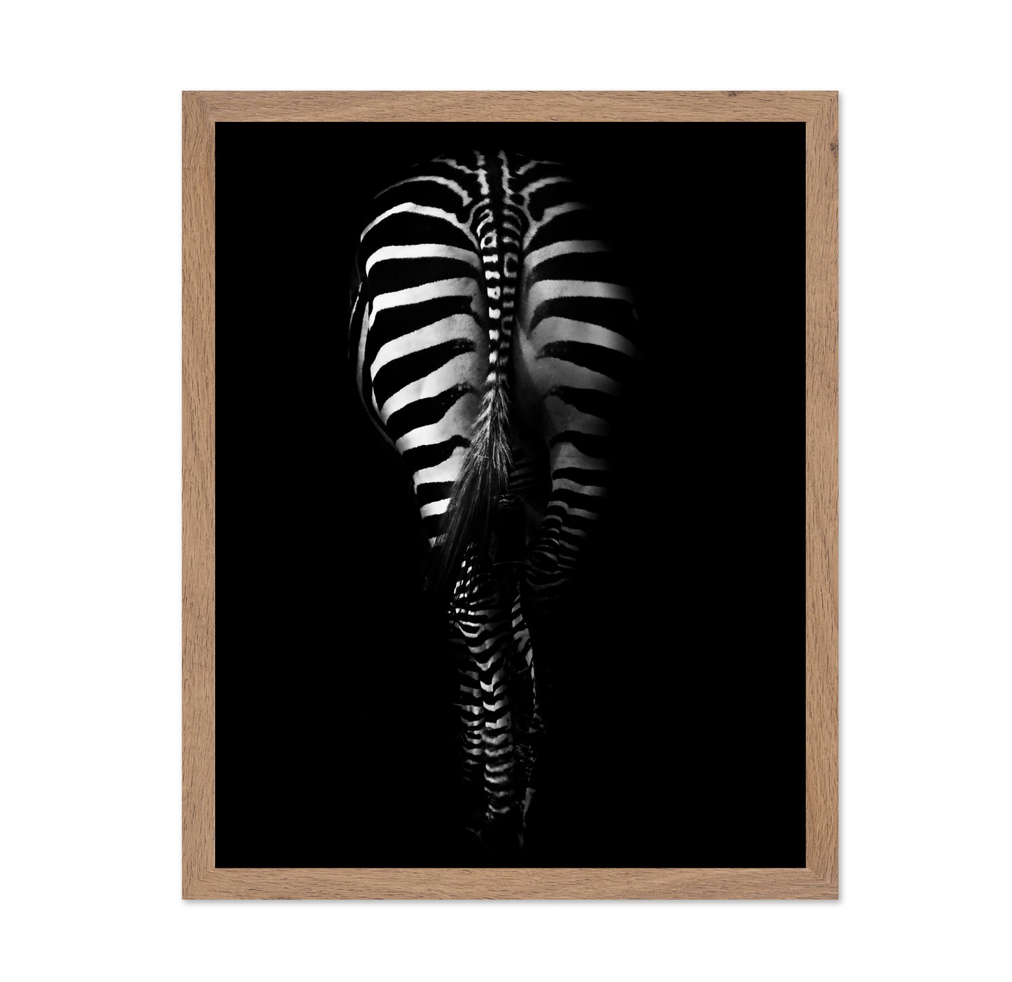 Zebra's Behind