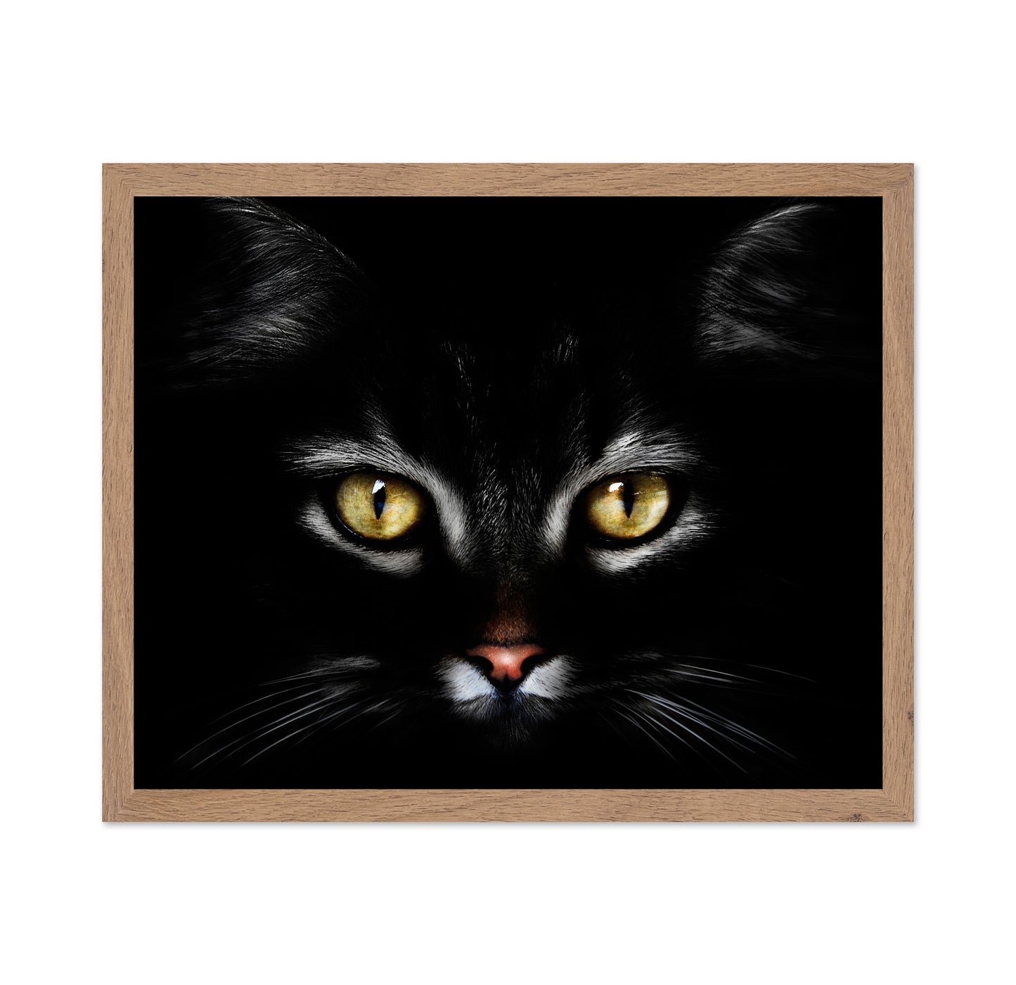 Black CatBlack Cat With Yellow Eyes