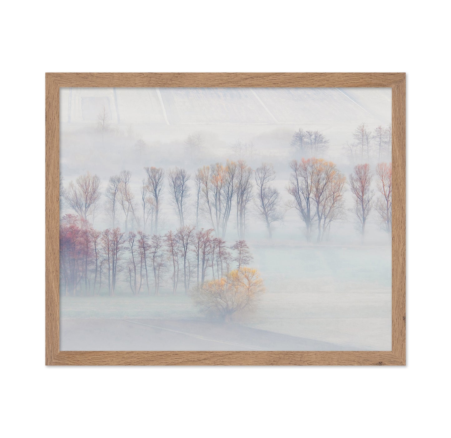 Spring Mists