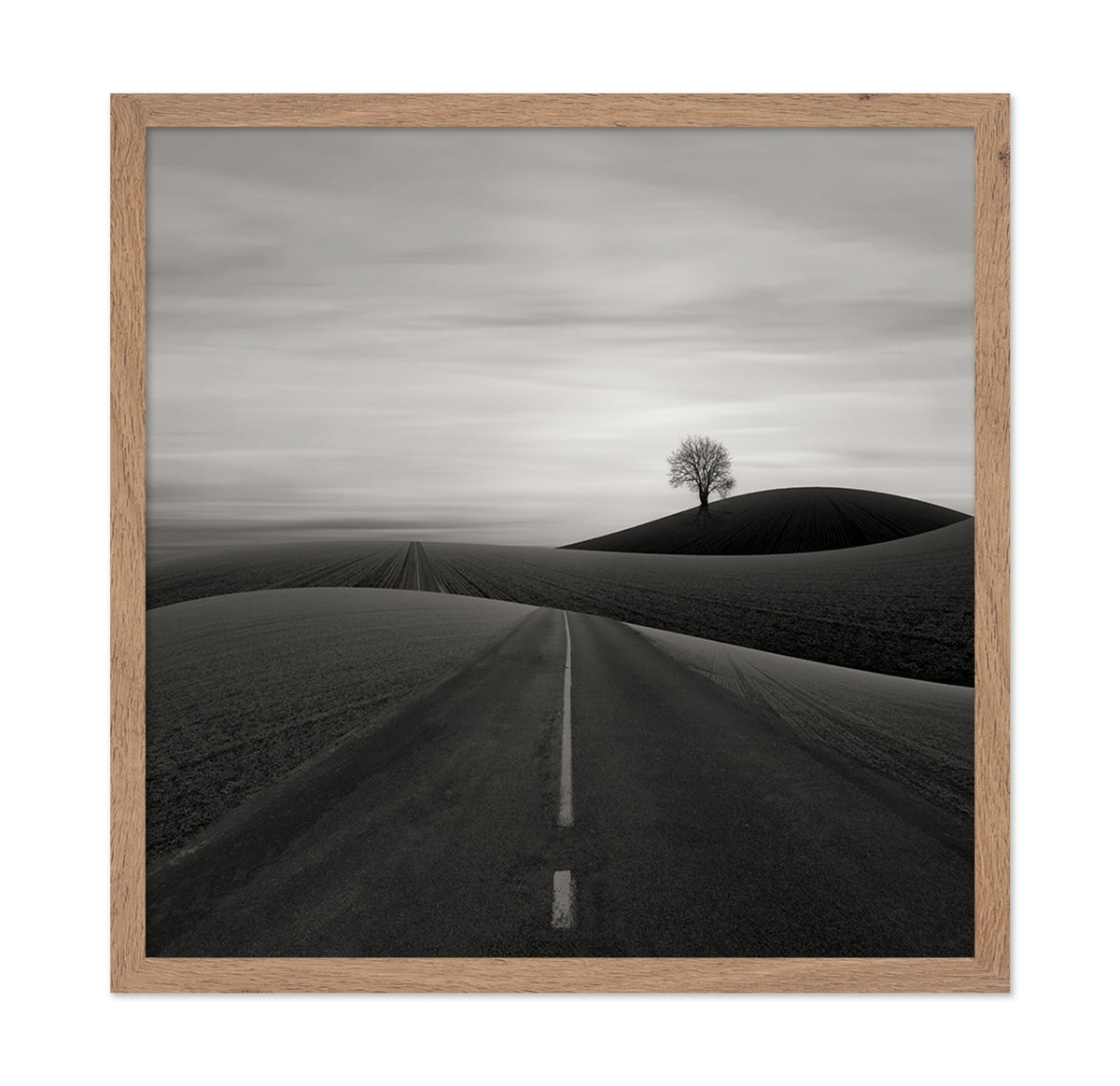 Solitary Tree on a Hill