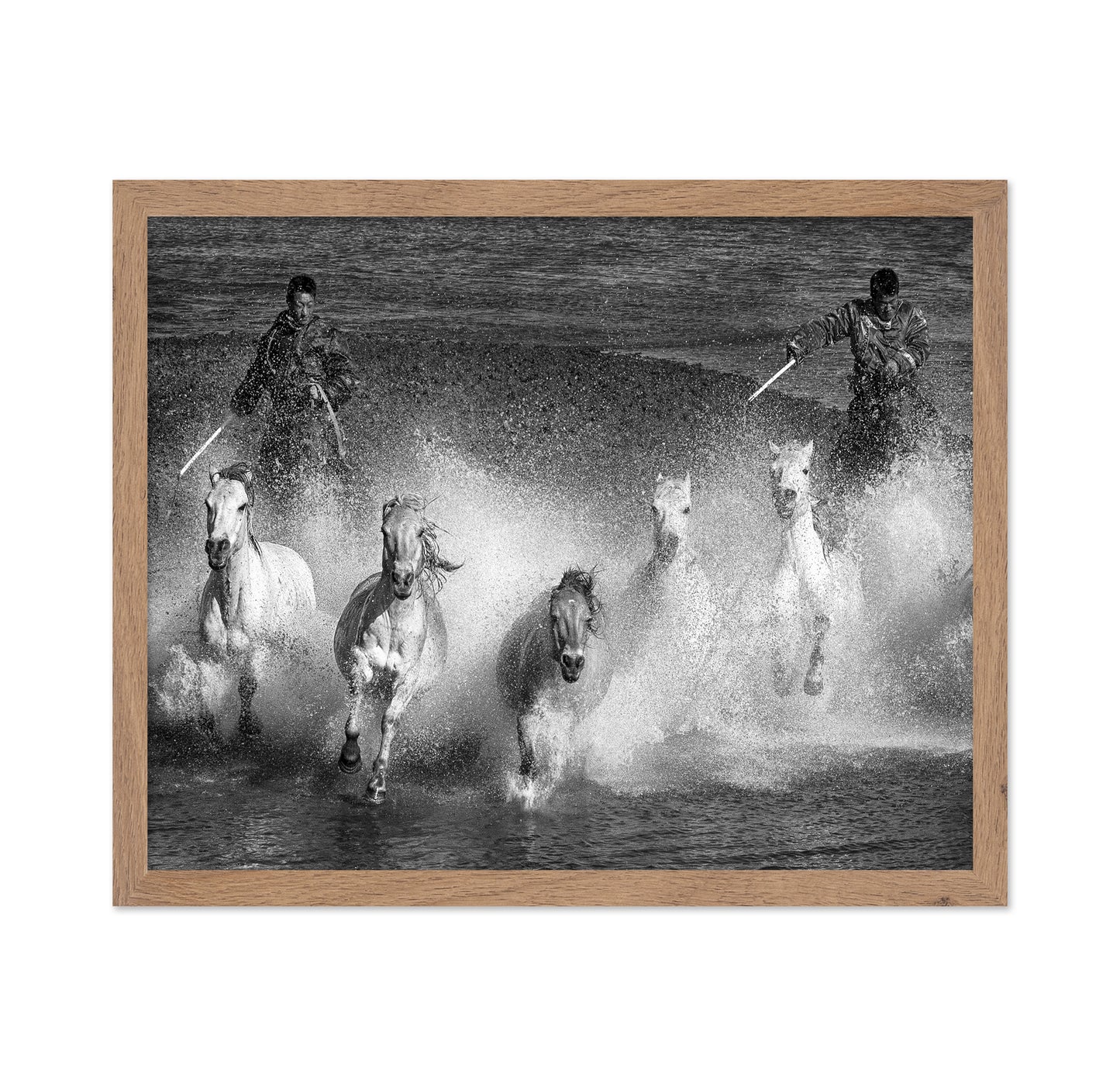 White Horses of the Camargue