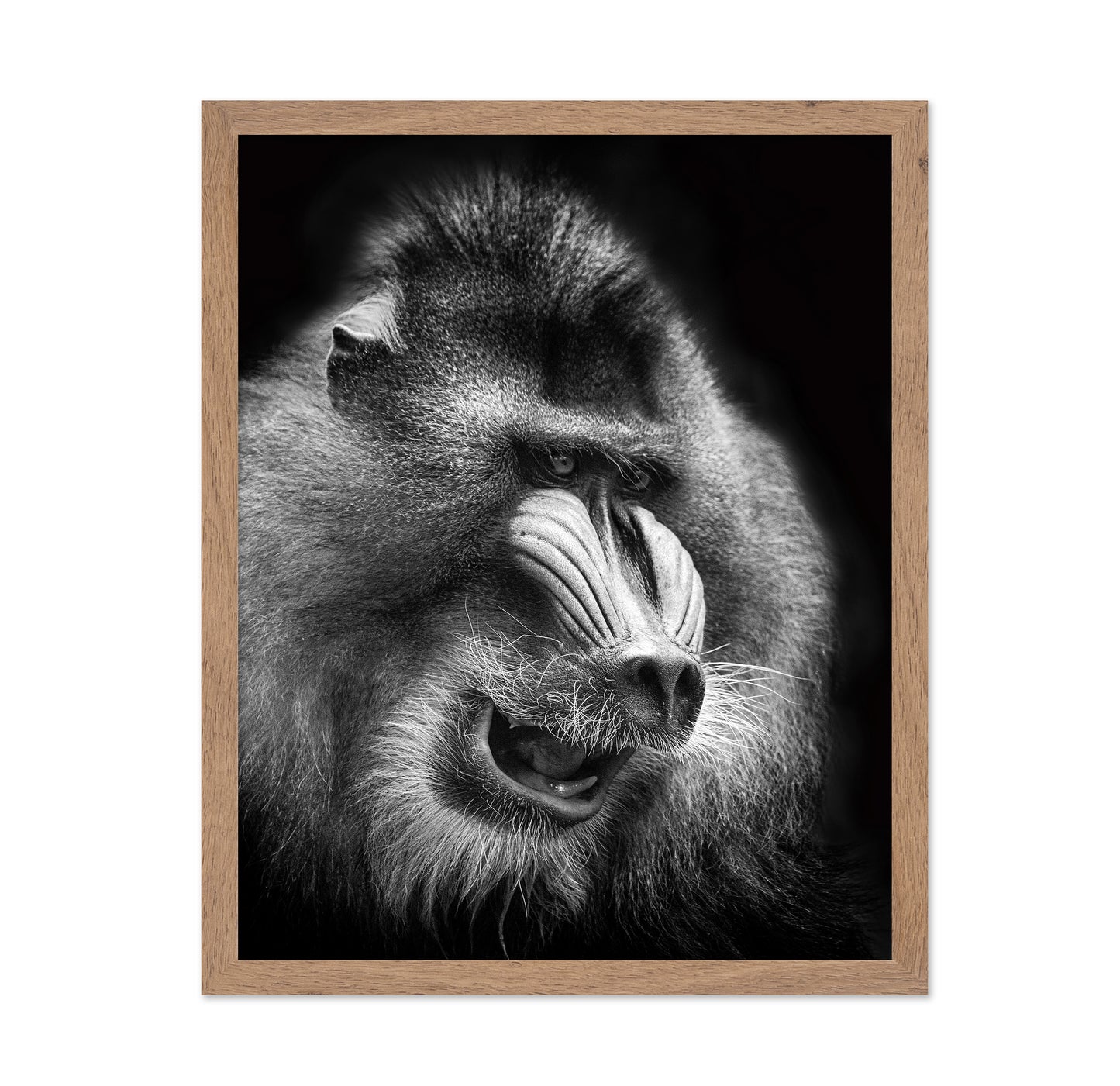 Mandrill