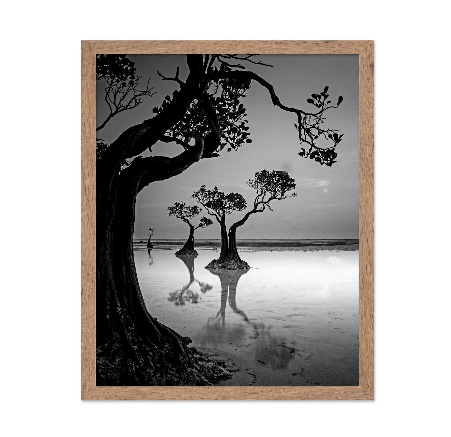 Dancing Trees