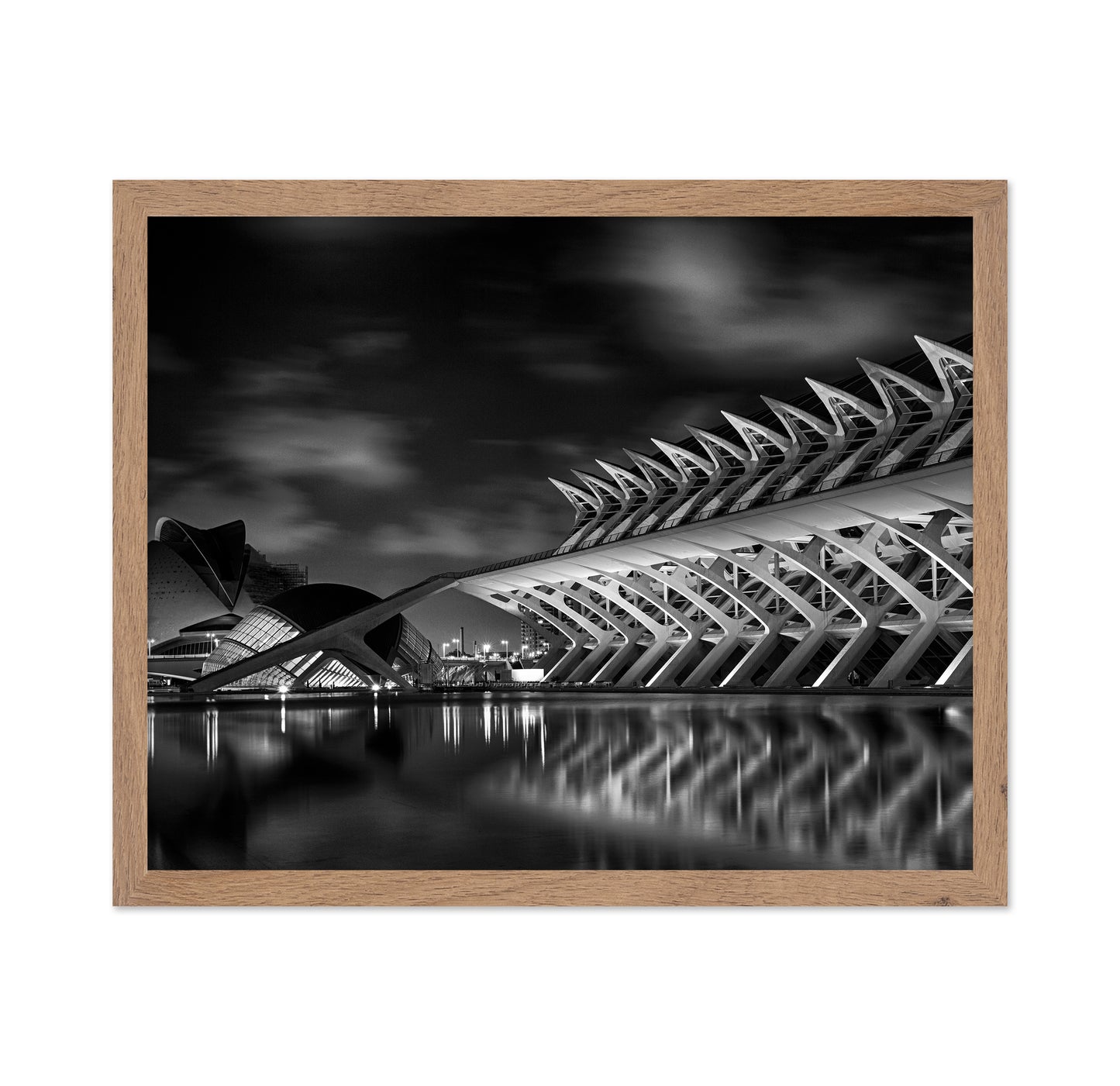 City of Arts and Sciences