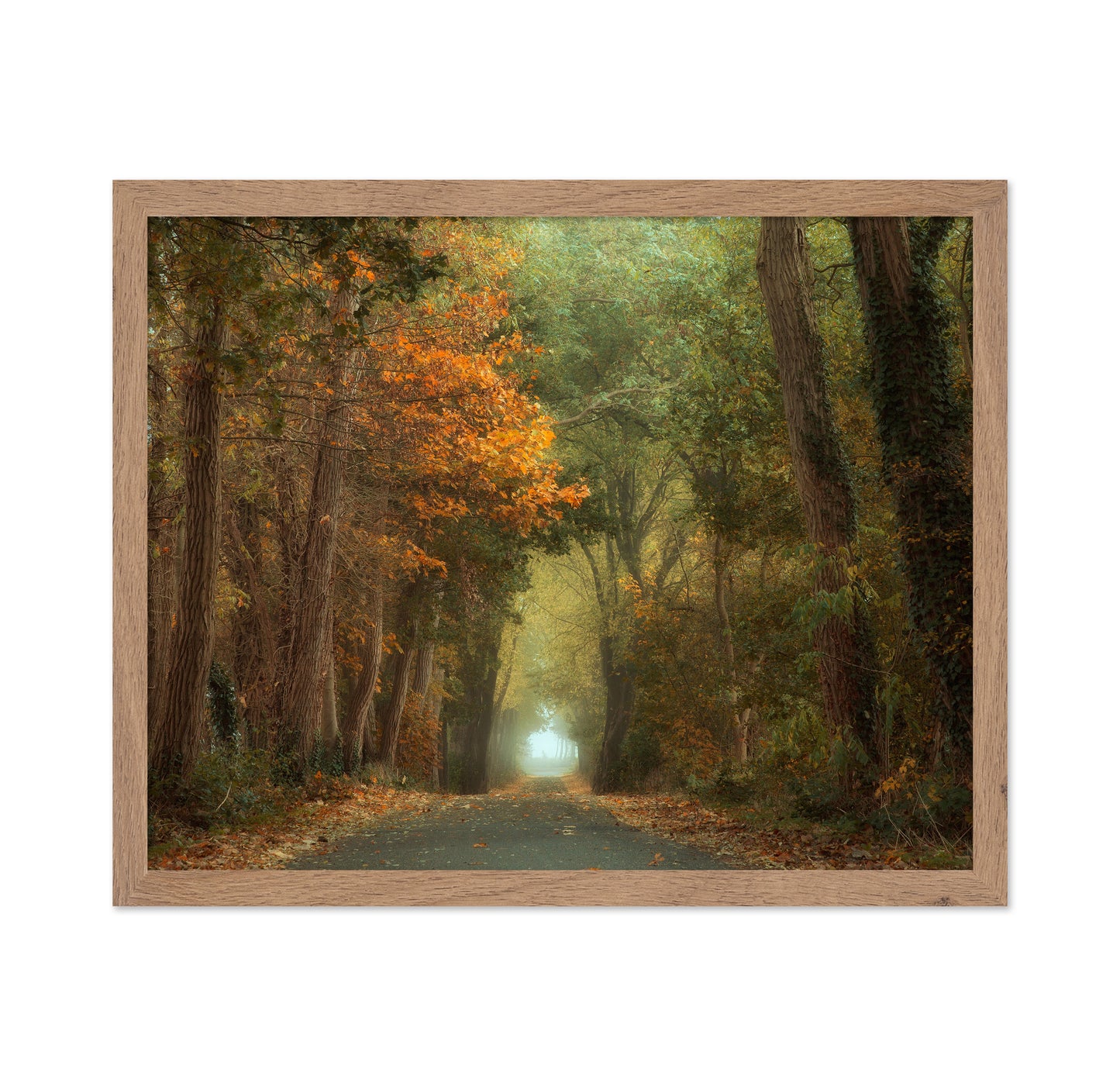Country Road