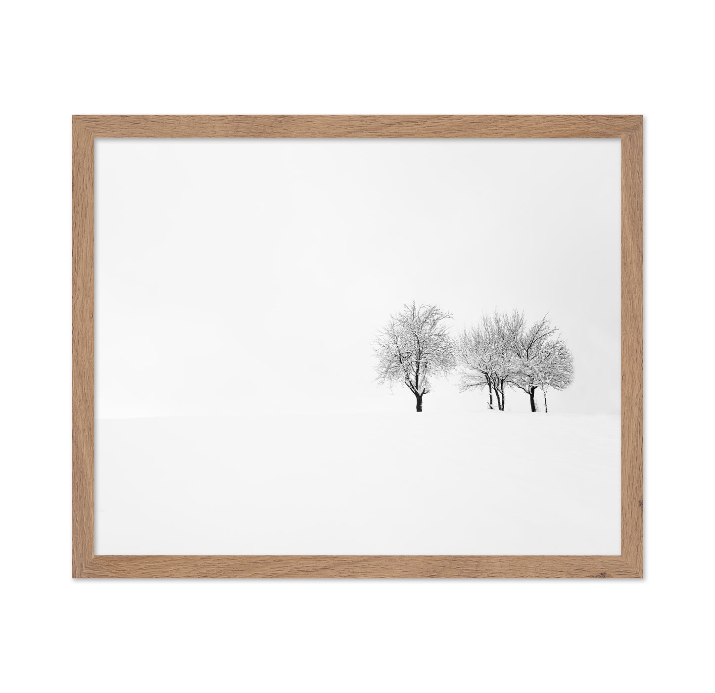 Tree and Silence