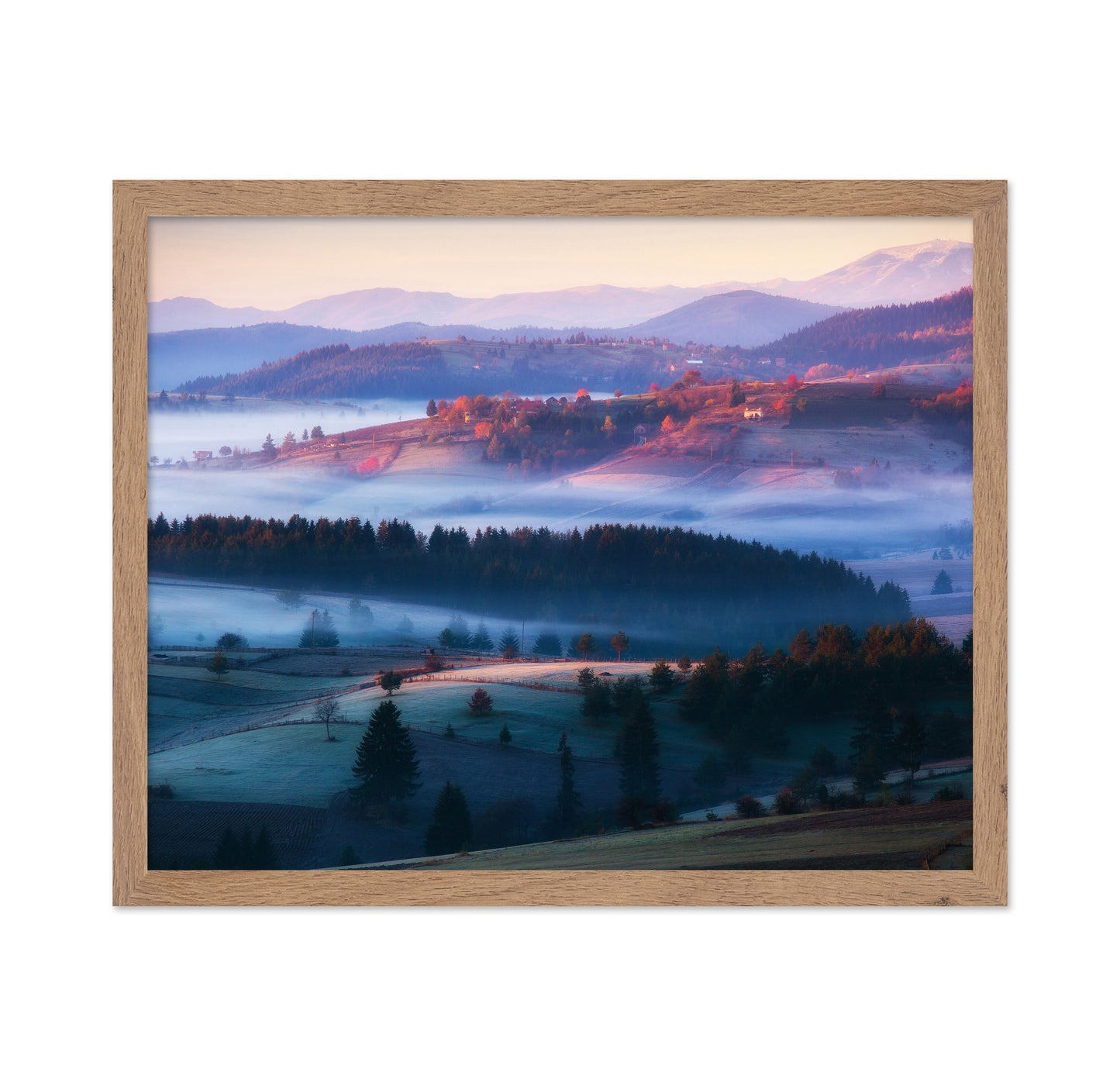 Magical Trails of Mist