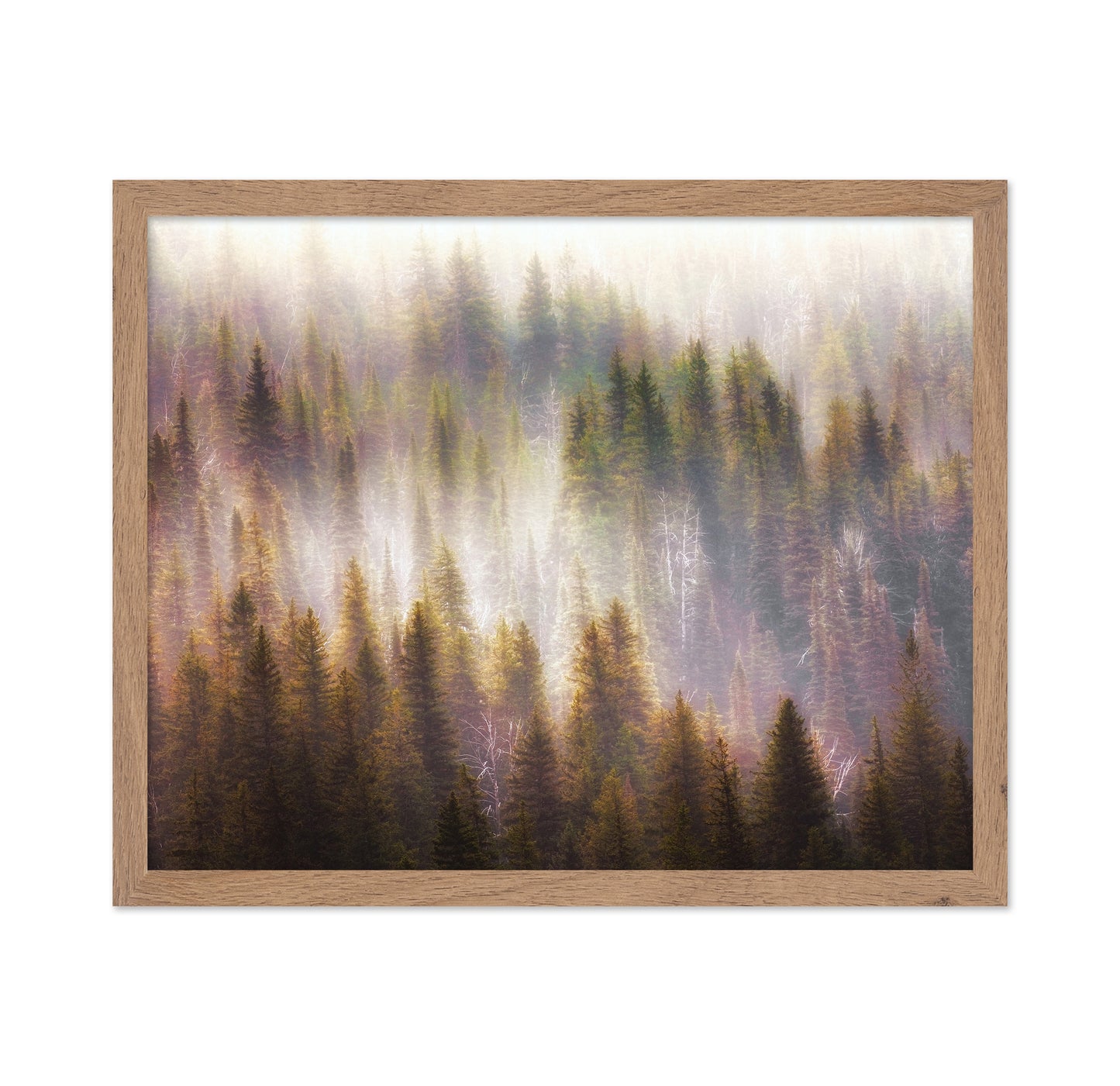 Enchanted Forest Glow