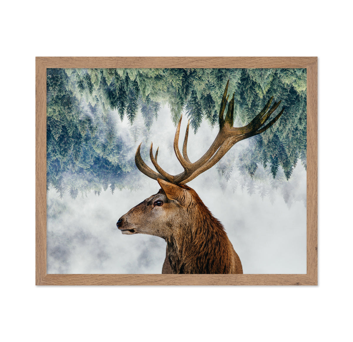 The Deer and the Woods