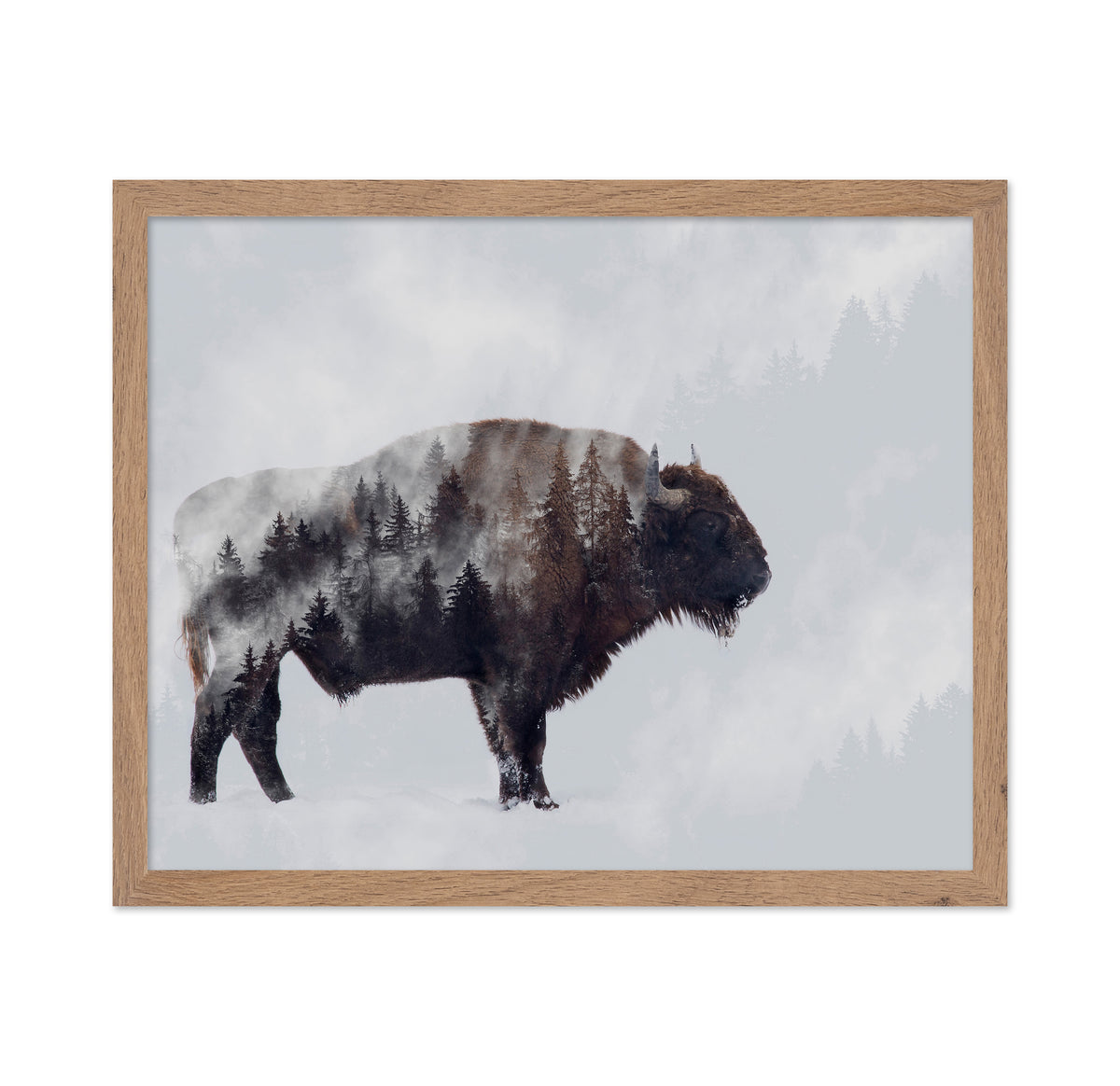 Bison - Double Exposure