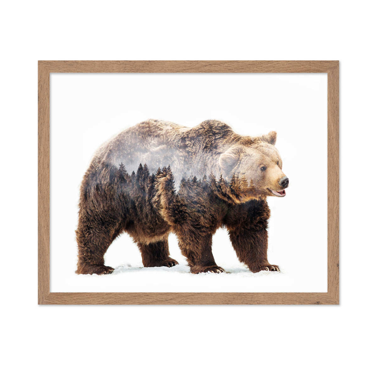 Brown Bear Double Exposure