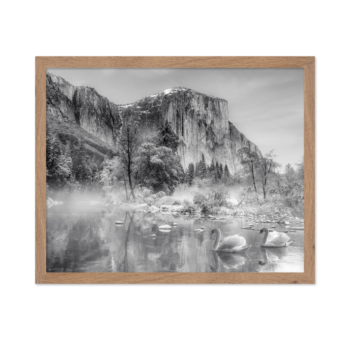 Winter Landscape