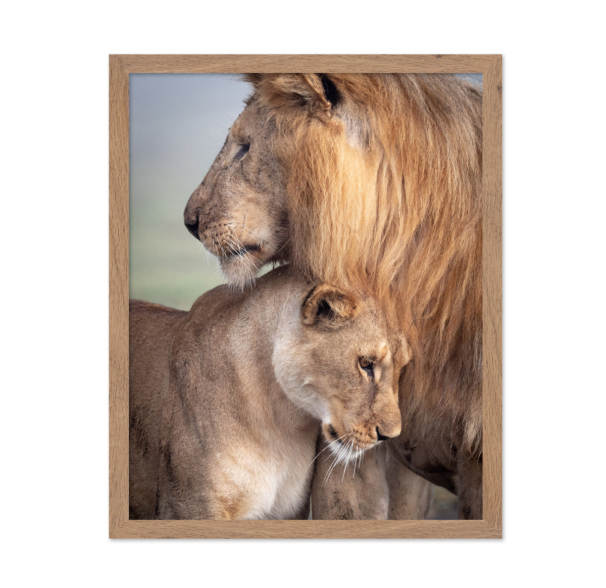 Wild Love