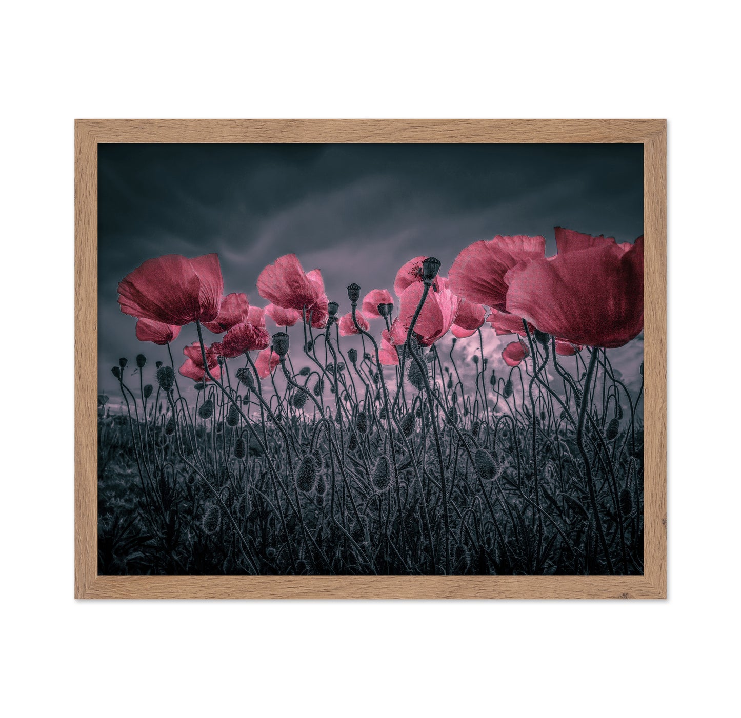 Wild Poppies Near Argenteuil